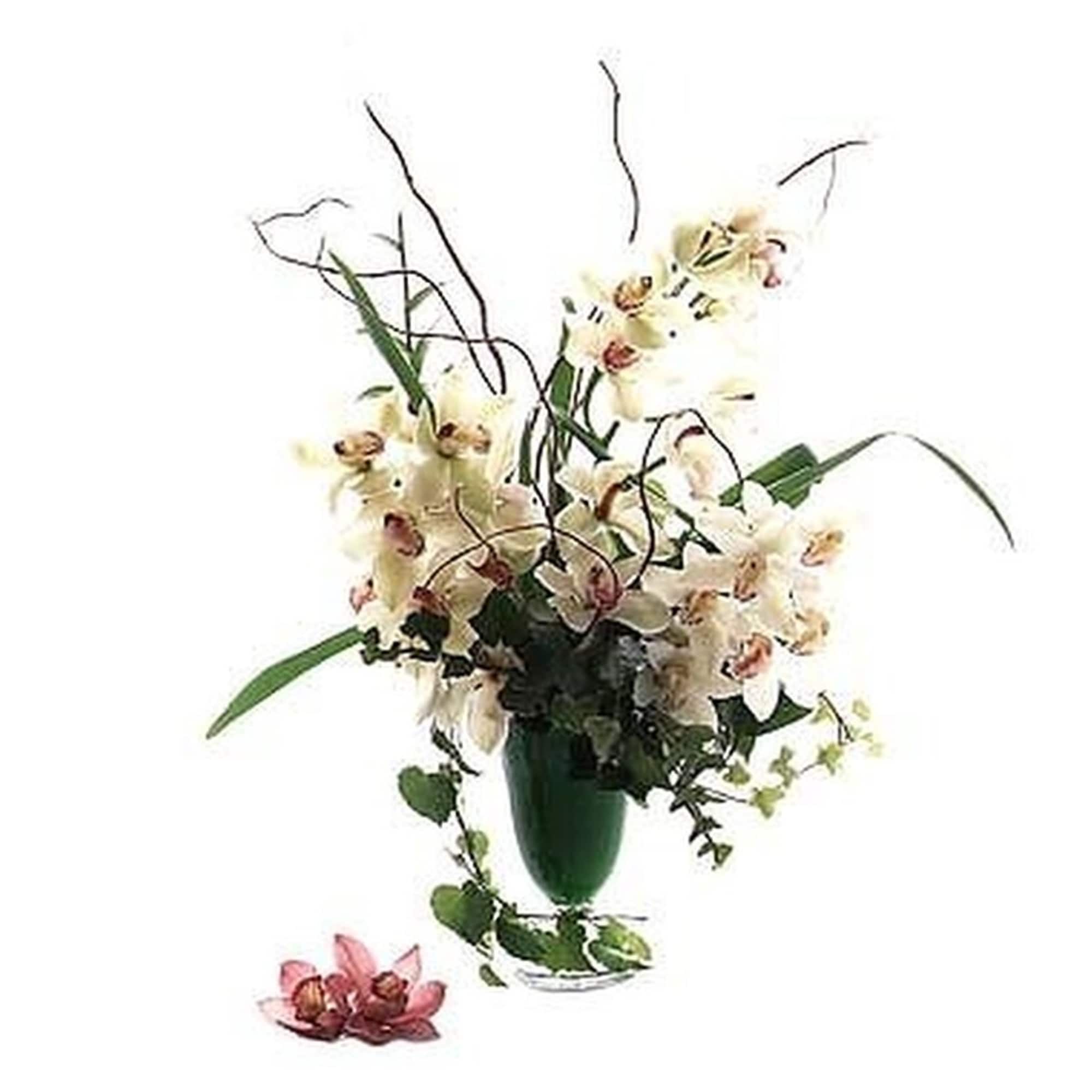 Tall arrangement of white cymbidium orchids in a green glass vase with two pink blooms at the base