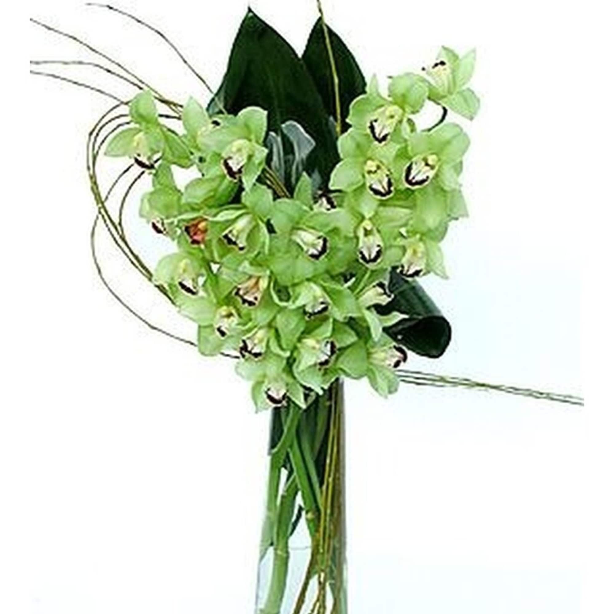 Tall arrangement of green cymbidium orchids in a clear glass cylinder vase