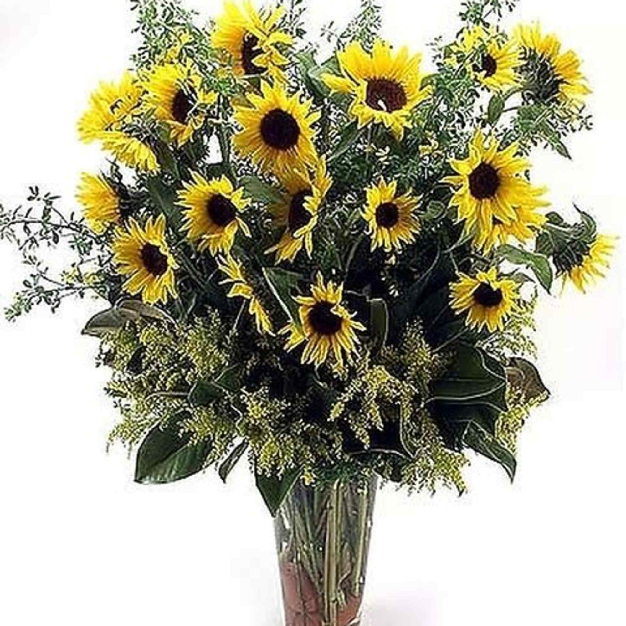 Sunflowers and solidago filler in a vase.
