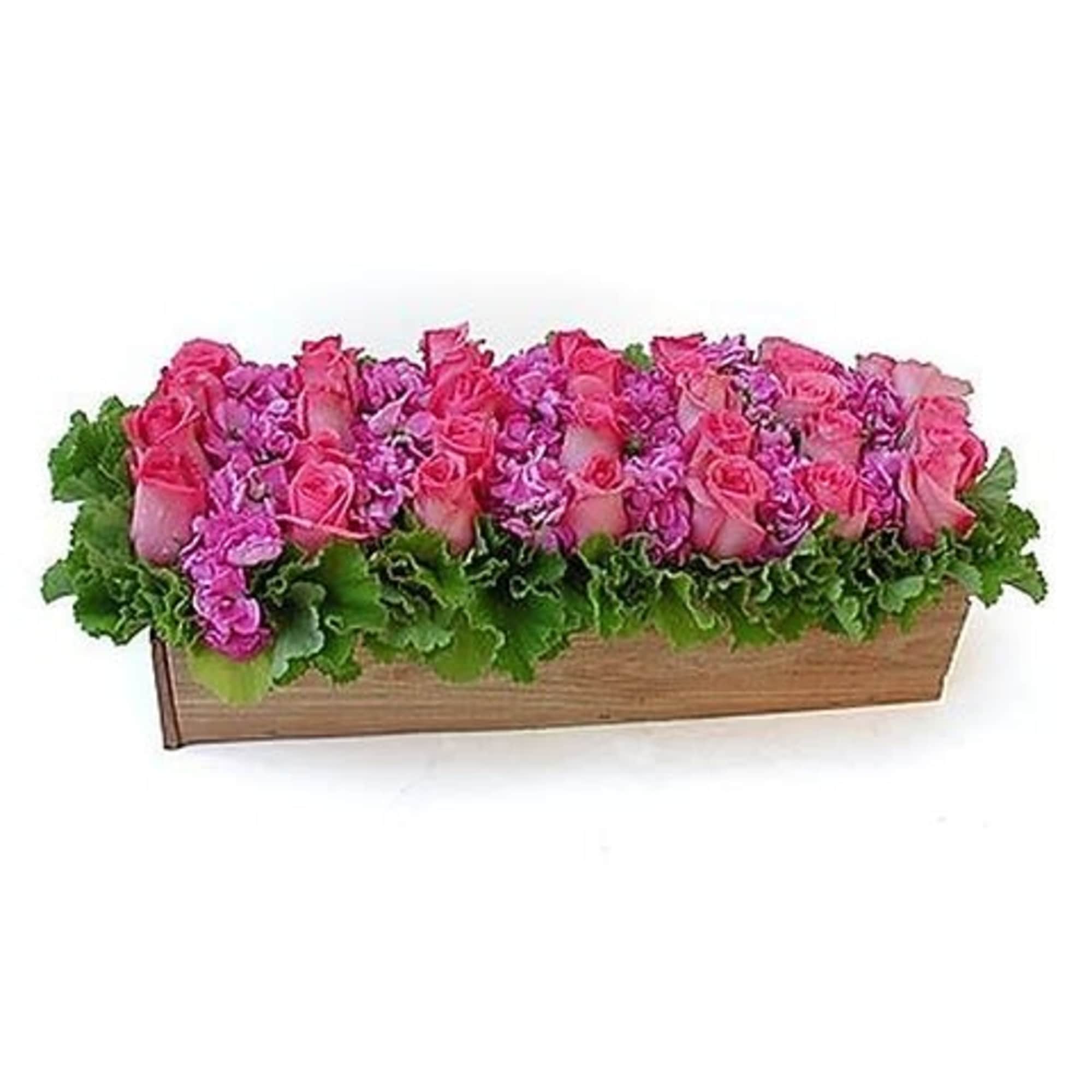 Premium South American roses arranged as a "carpet" of flowers in a