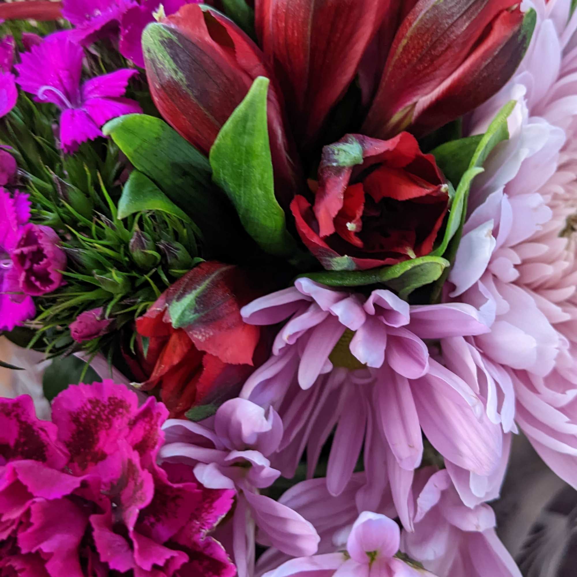 Close-up bouquet of red, pink, and purple flowers