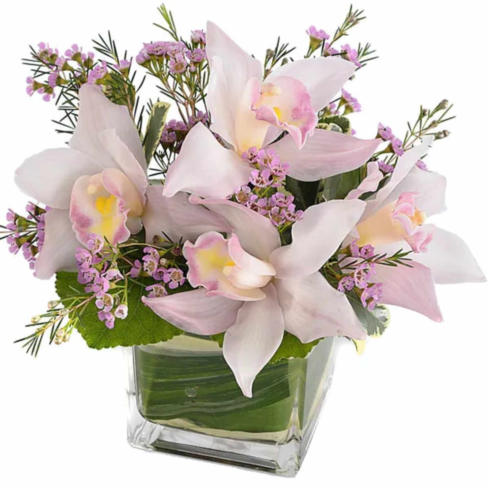 Pink orchids arranged in a square glass vase with small purple filler flowers