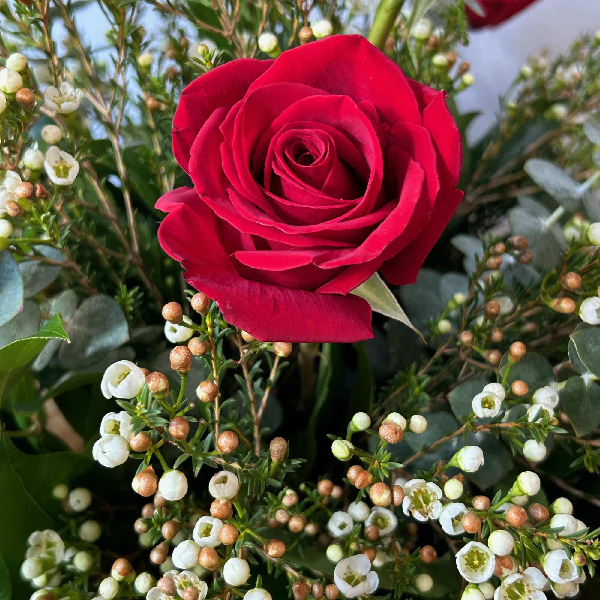 Classic roses beautifully arranged in a vase, perfect for birthdays, anniversaries, romance