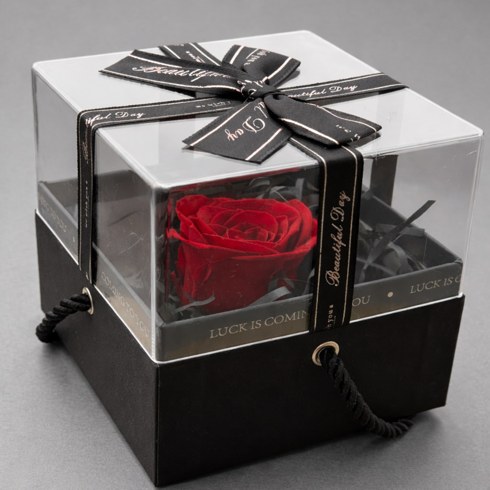 Single red rose in a clear gift box with a black ribbon