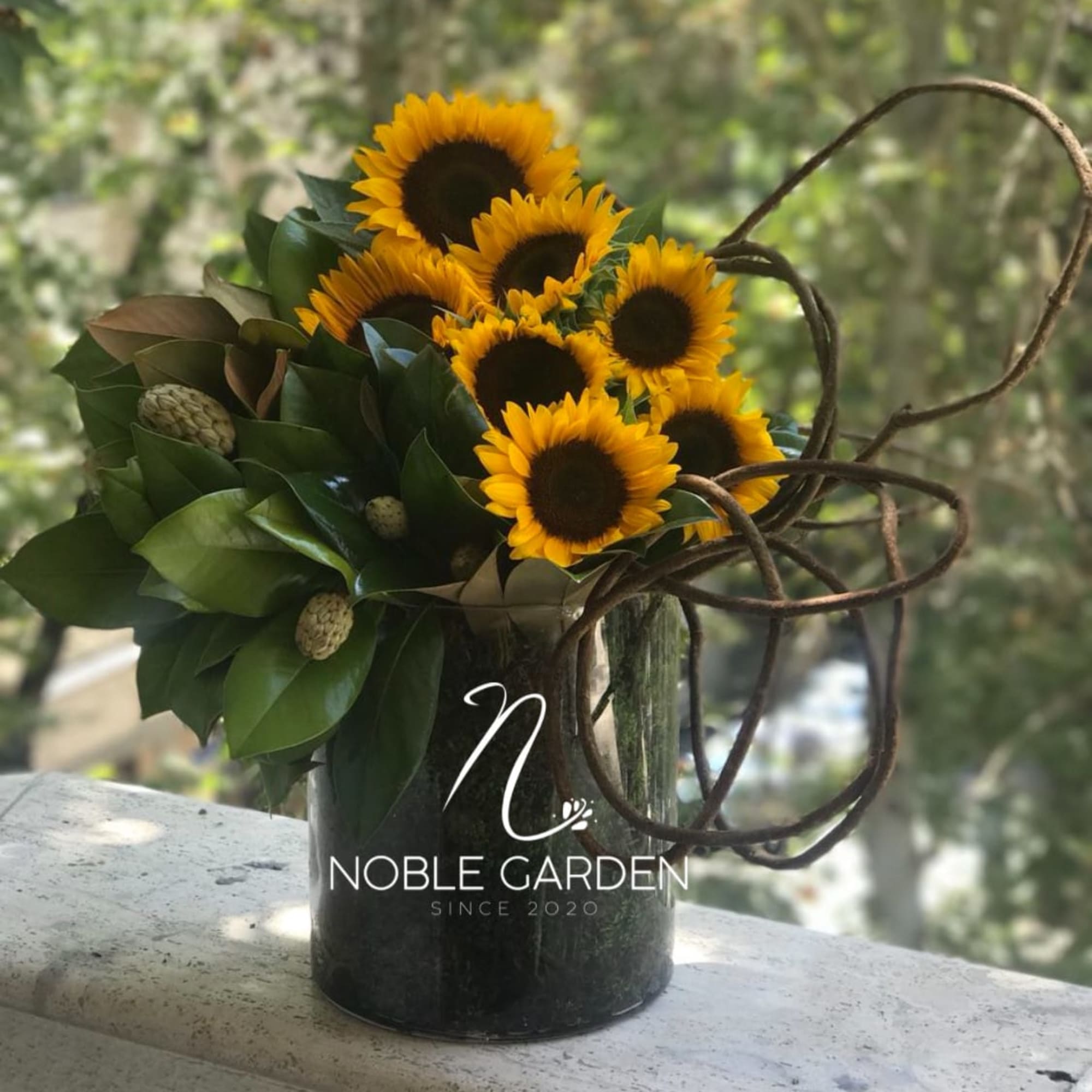Sunflower arrangement in a dark vase with looping branches