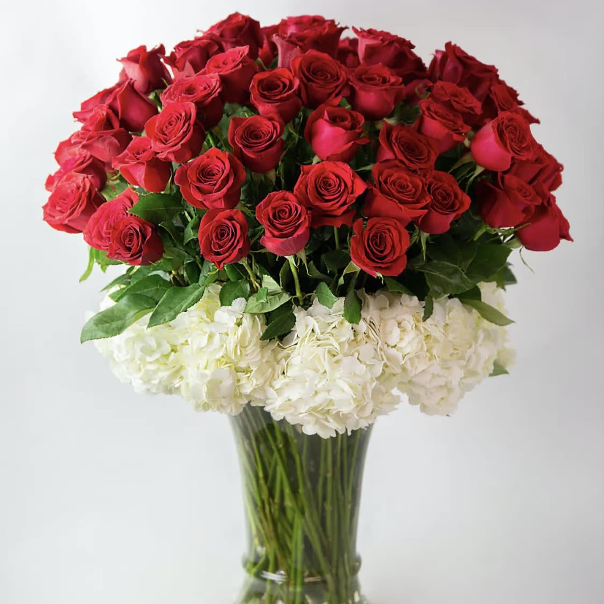 Red roses and white hydrangeas arranged in a clear glass vase