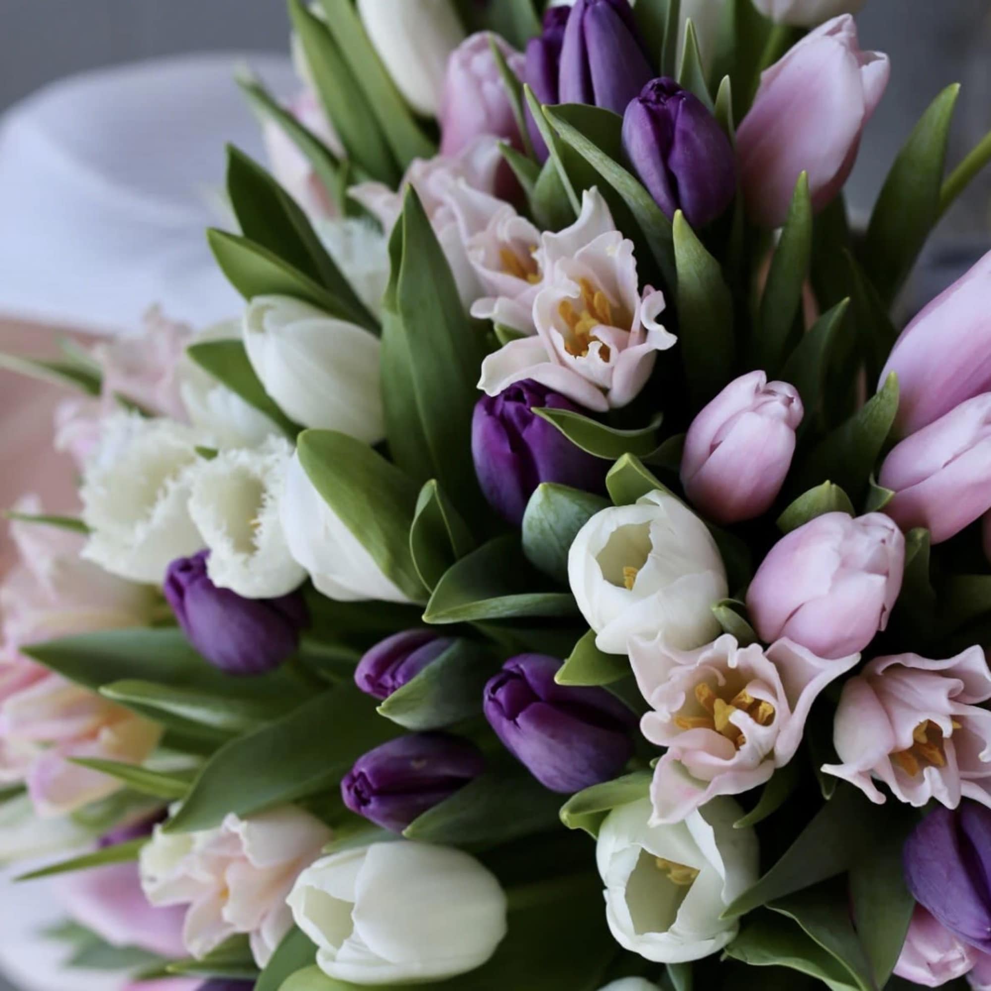 Bouquet of pink, white, and purple tulips with green foliage