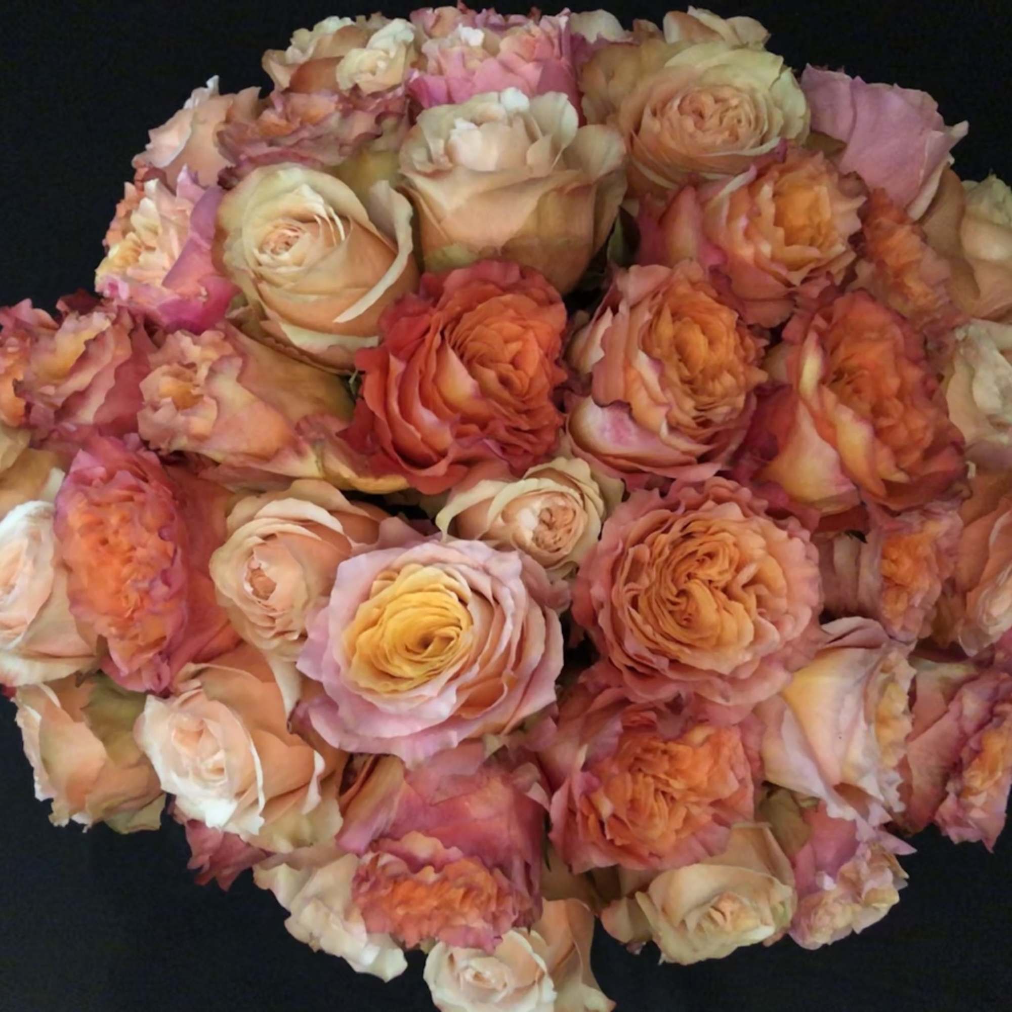 Round bouquet of peach, pink, and coral roses on a dark background