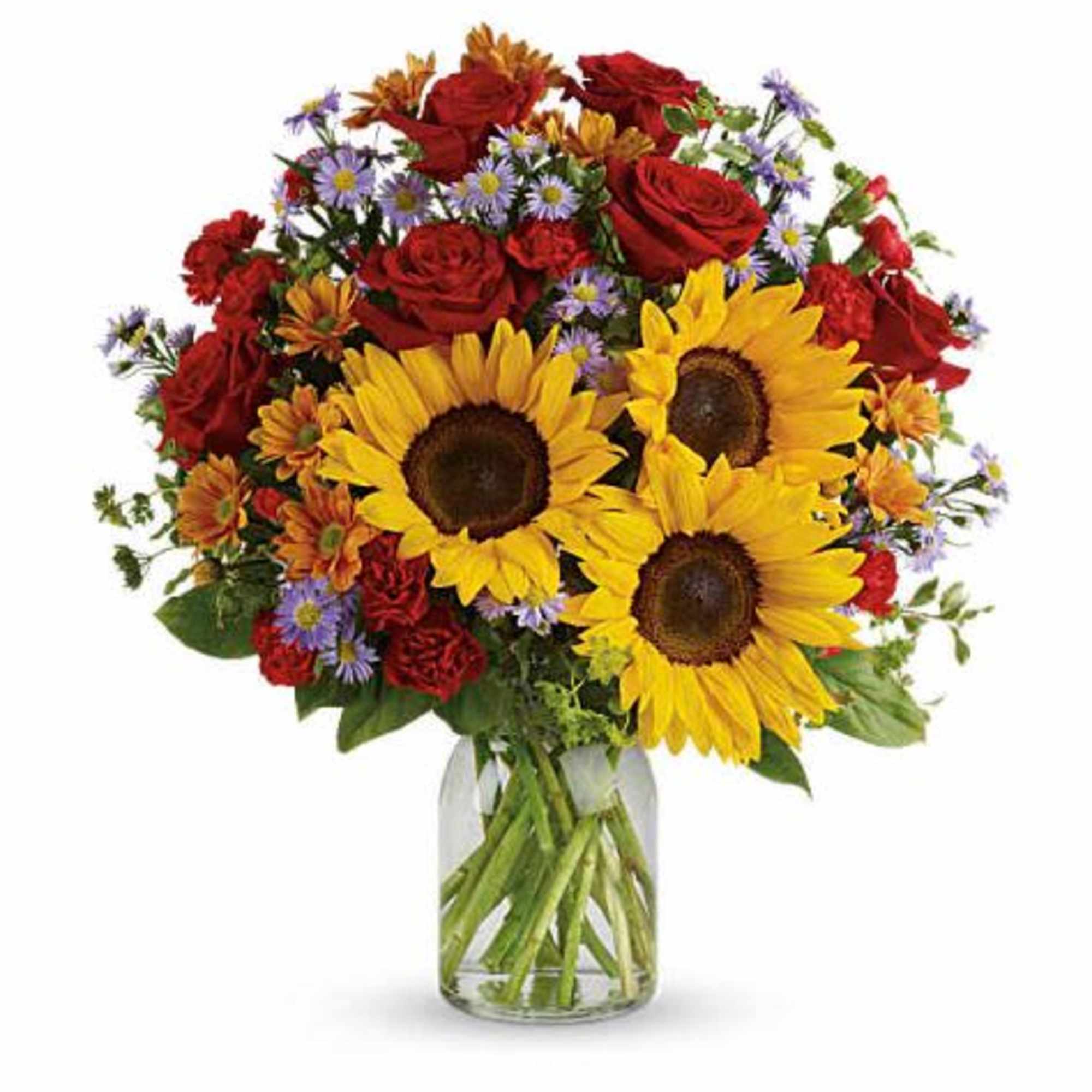  Pet Friendly?
NO . Chrysanthemums can be toxic to cats and dogs