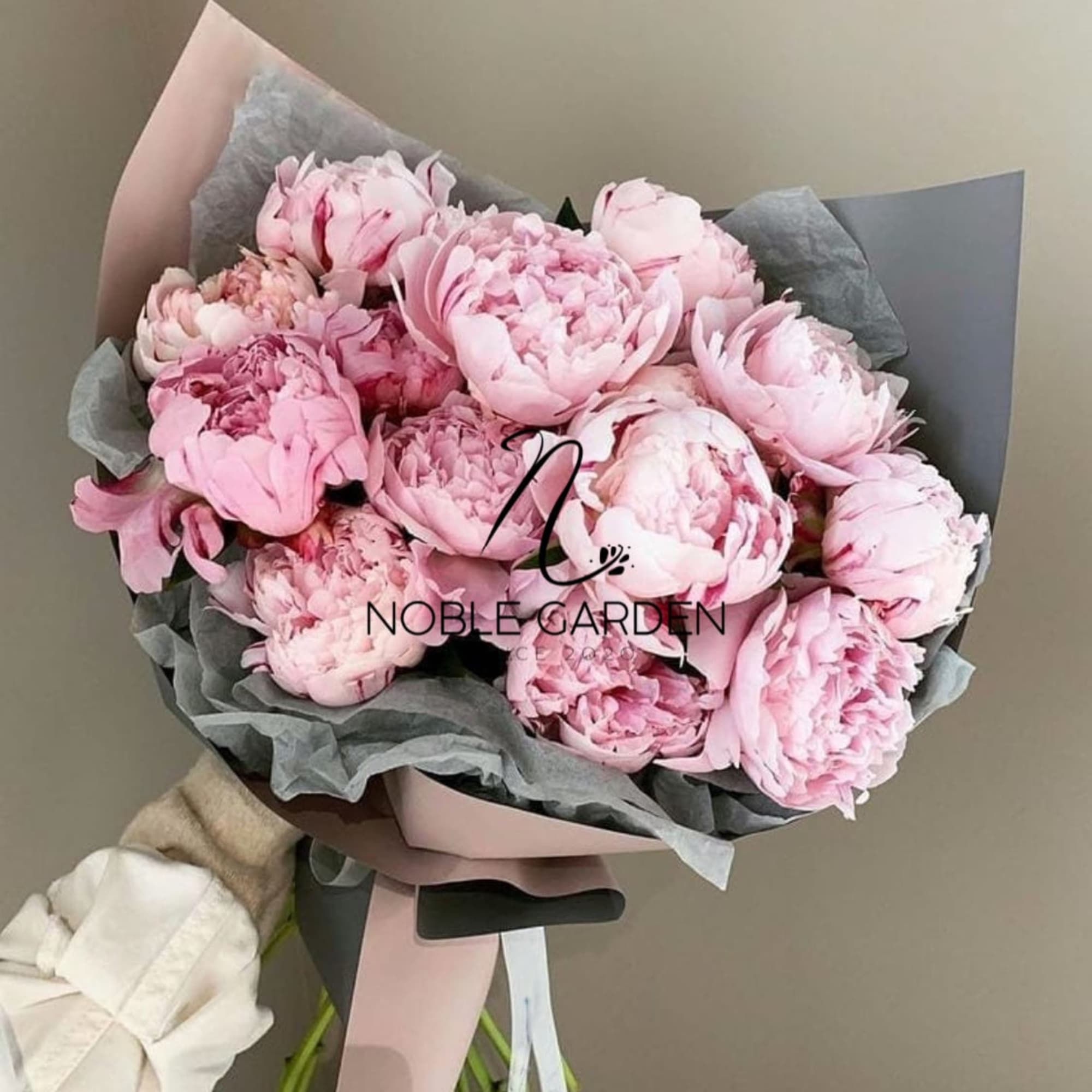 Bouquet of pale pink peonies wrapped in gray and blush paper
