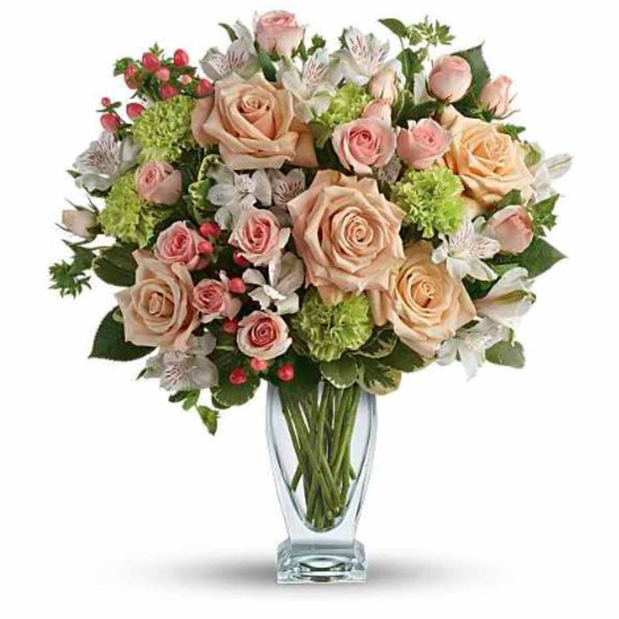  Pet Friendly?
NO . This arrangement includes hydrangea, alstroemeria, and hypericum berries