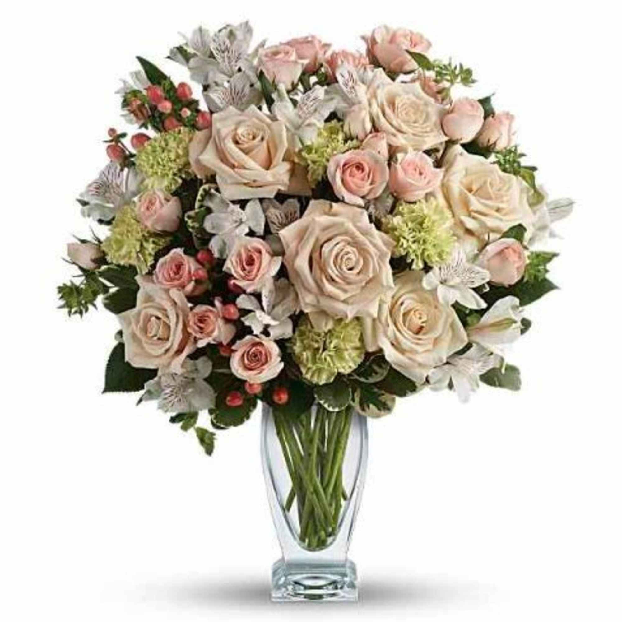  Pet Friendly?
NO . This arrangement includes hydrangea, alstroemeria, and hypericum berries