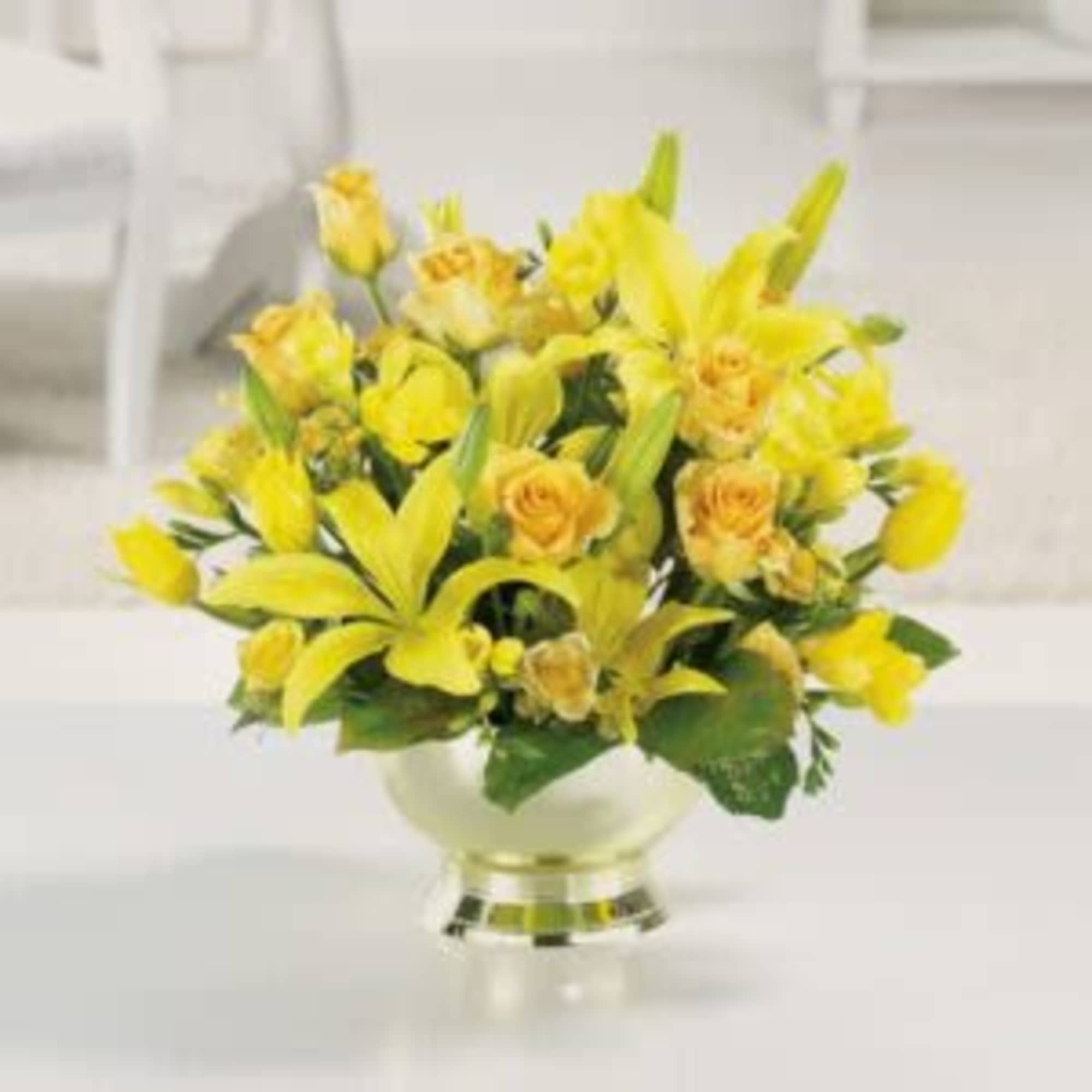  Pet Friendly?
NO &mdash; contains lilies, which are toxic to cats. Keep