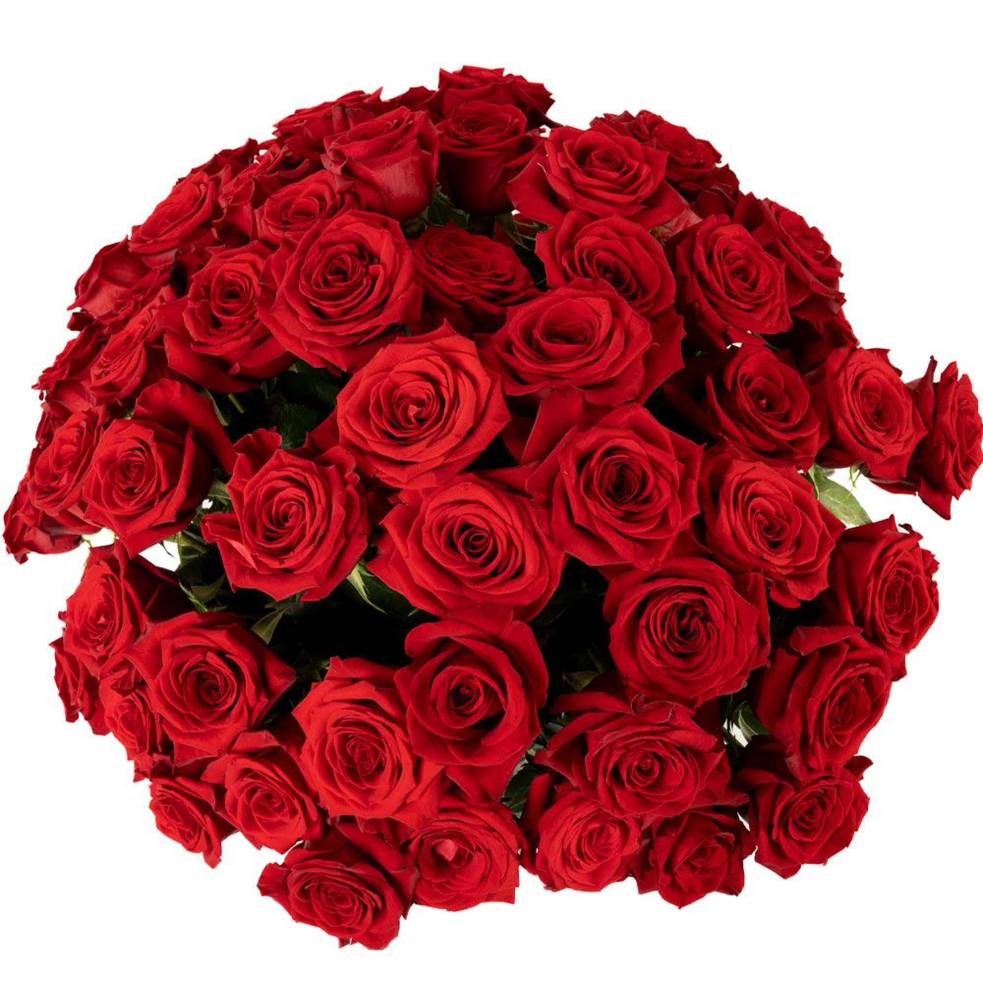 Large, dense bouquet of long-stemmed red roses clustered together.
