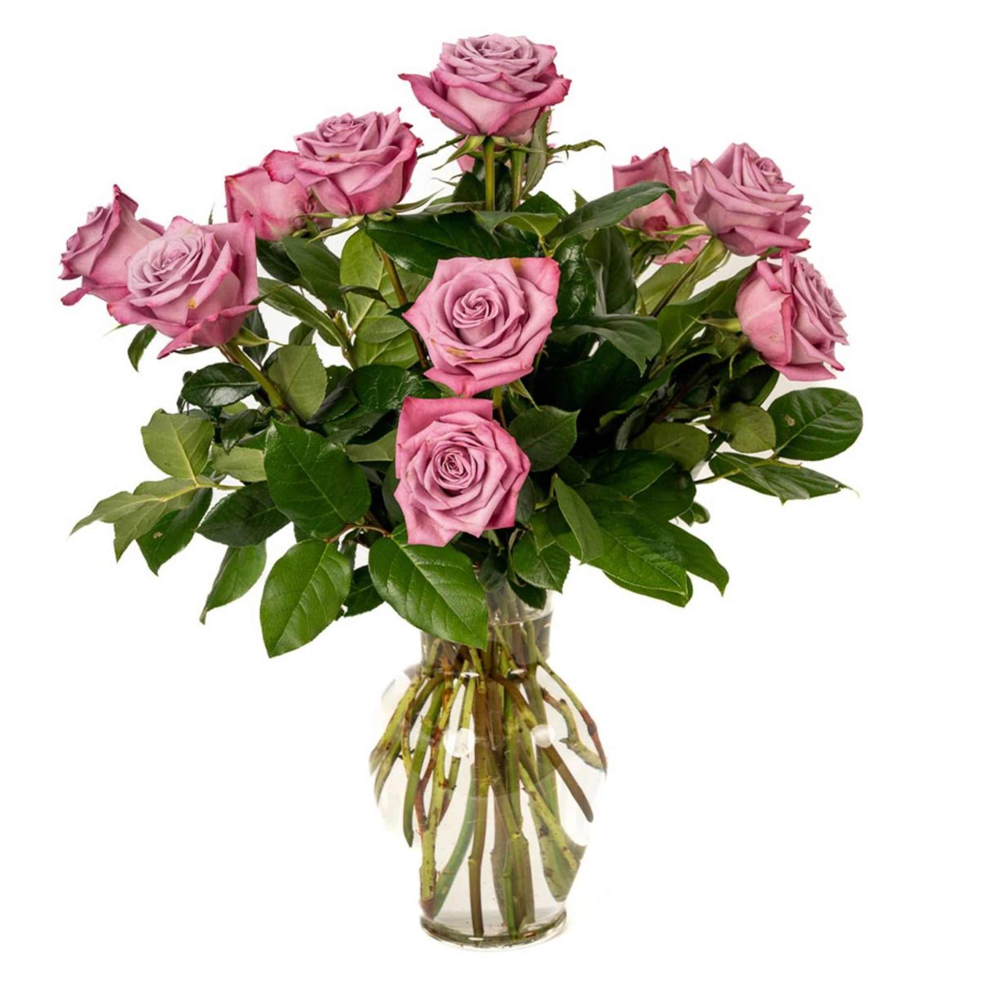 Lavender roses arranged in a clear glass vase with visible stems in water.