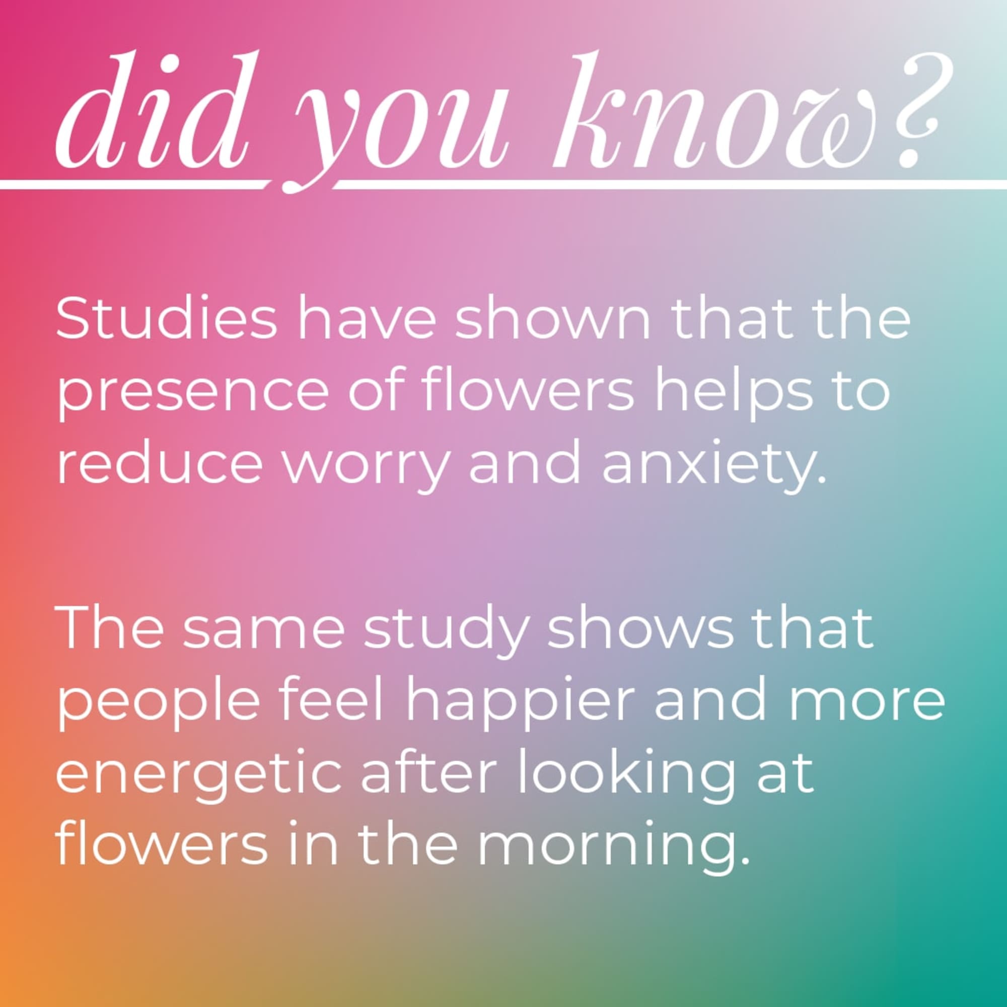 Pastel gradient graphic with white text about flowers reducing worry and anxiety.