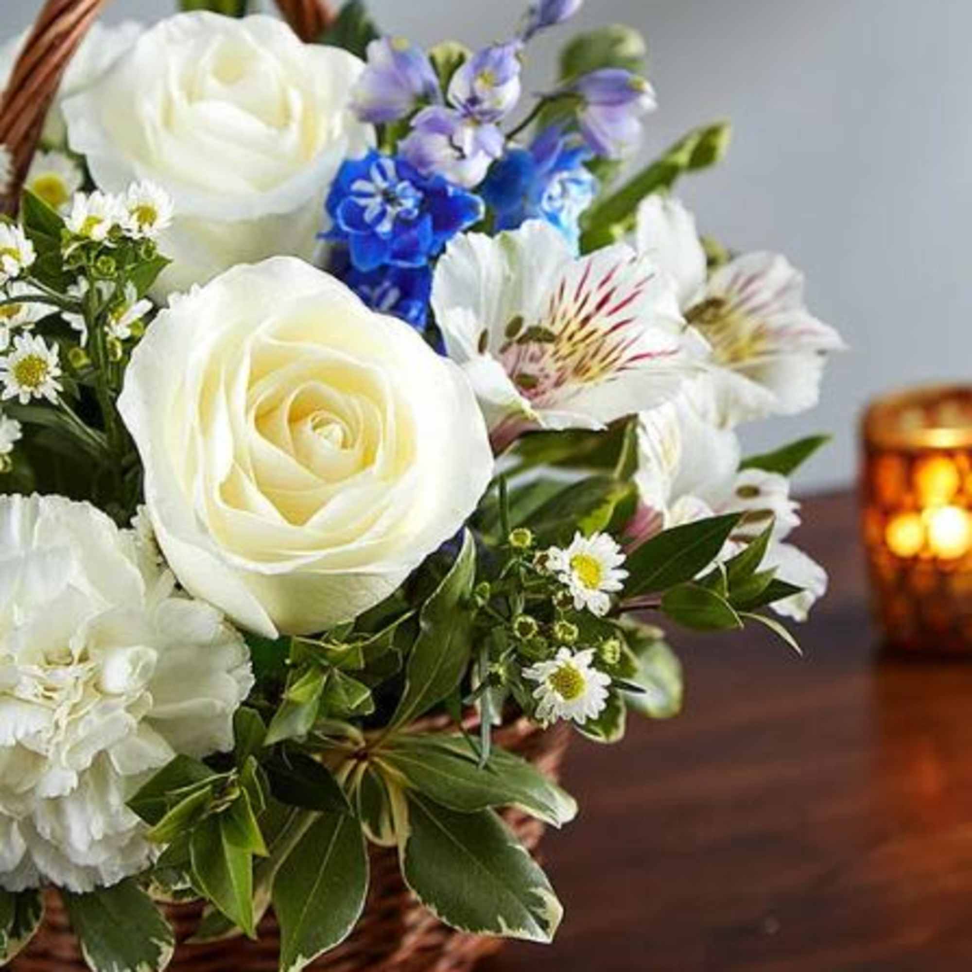  Pet Friendly?
No This arrangement contains Alstroemeria, which can cause digestive upset