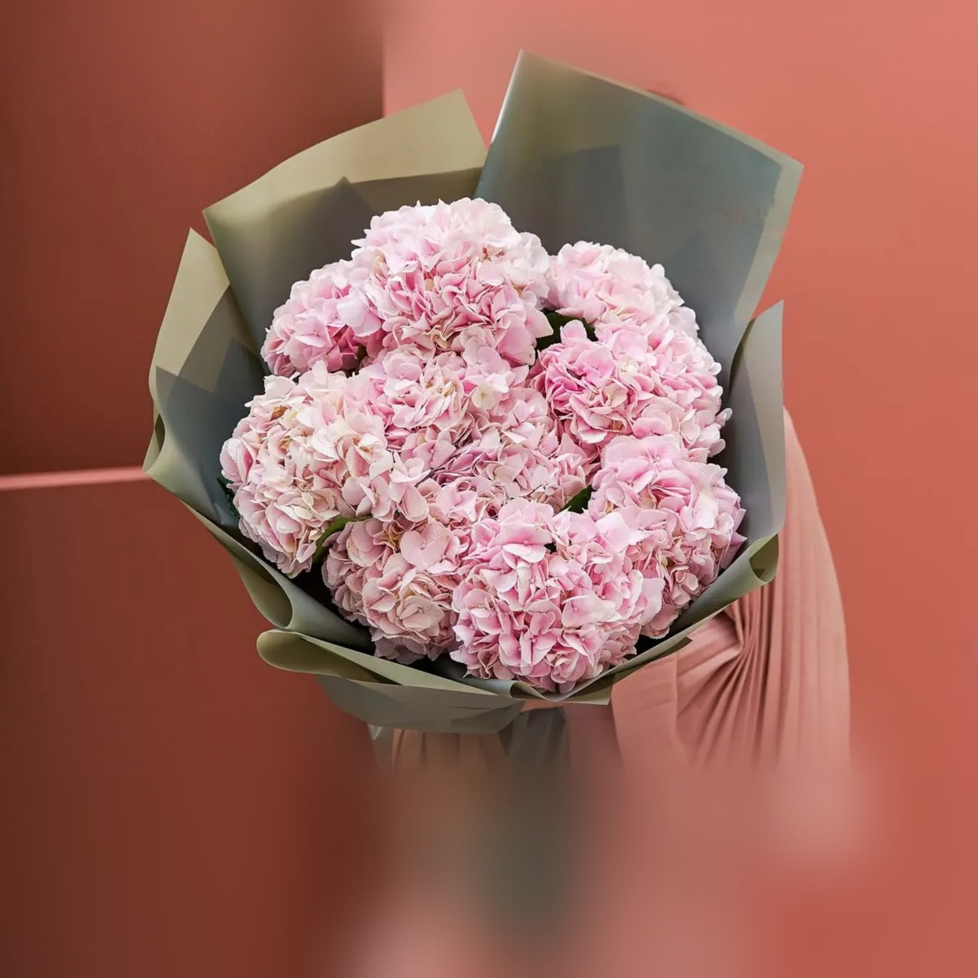 Bouquet of pale pink hydrangeas wrapped in muted paper