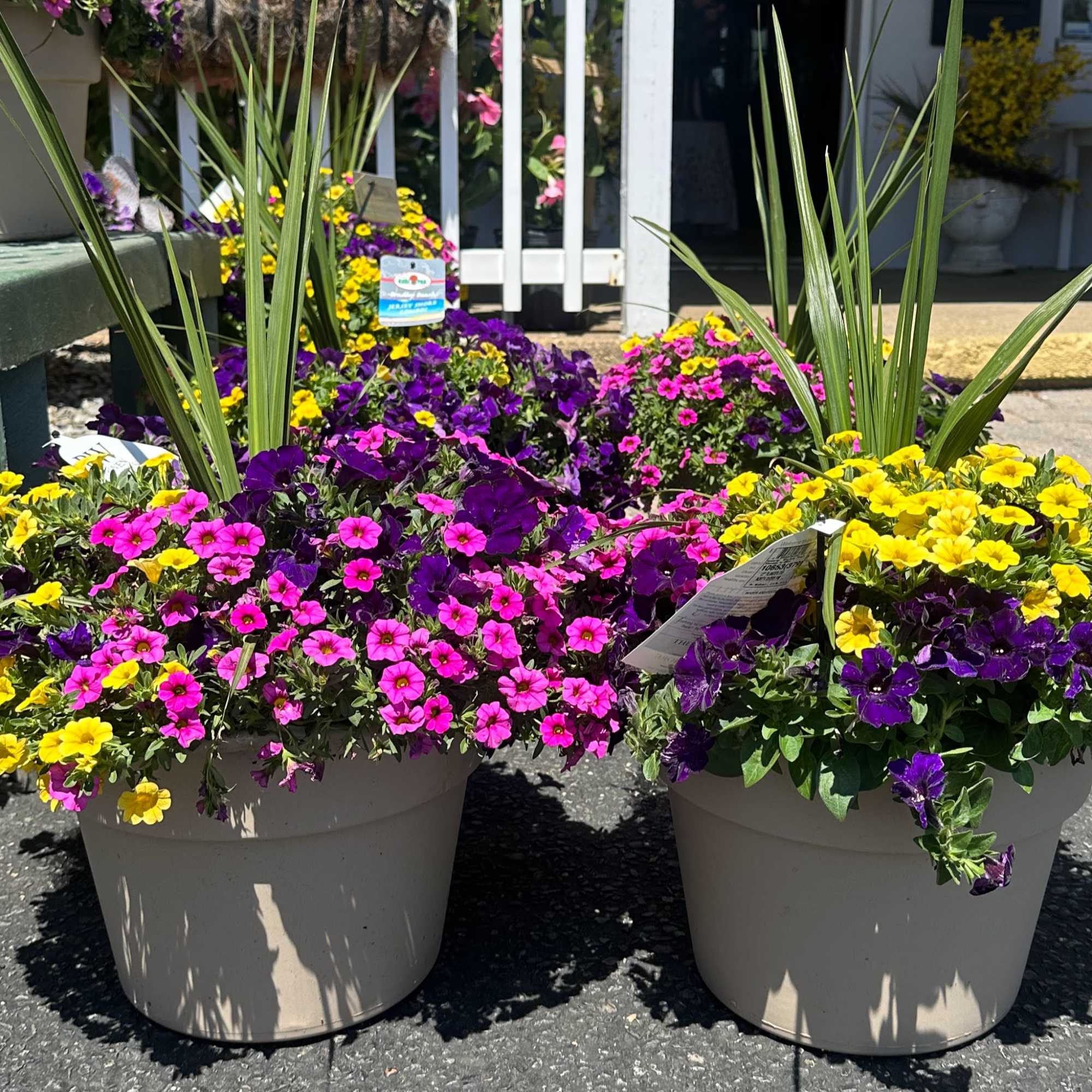 Outdoor Patio Planters, 12" pots,  potted with various mixed of plants.