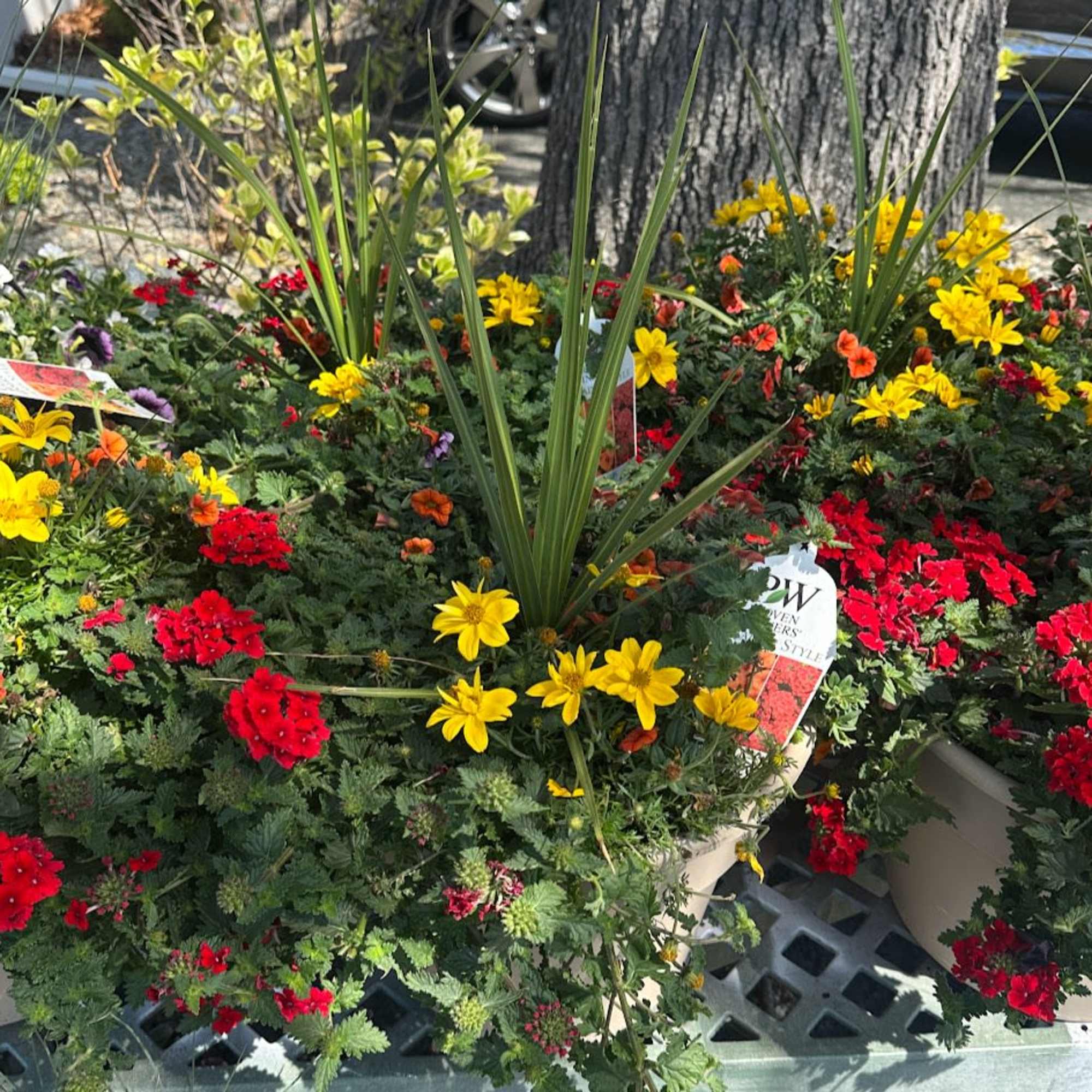 Outdoor Patio Planters, 12" pots,  potted with various mixed of plants.