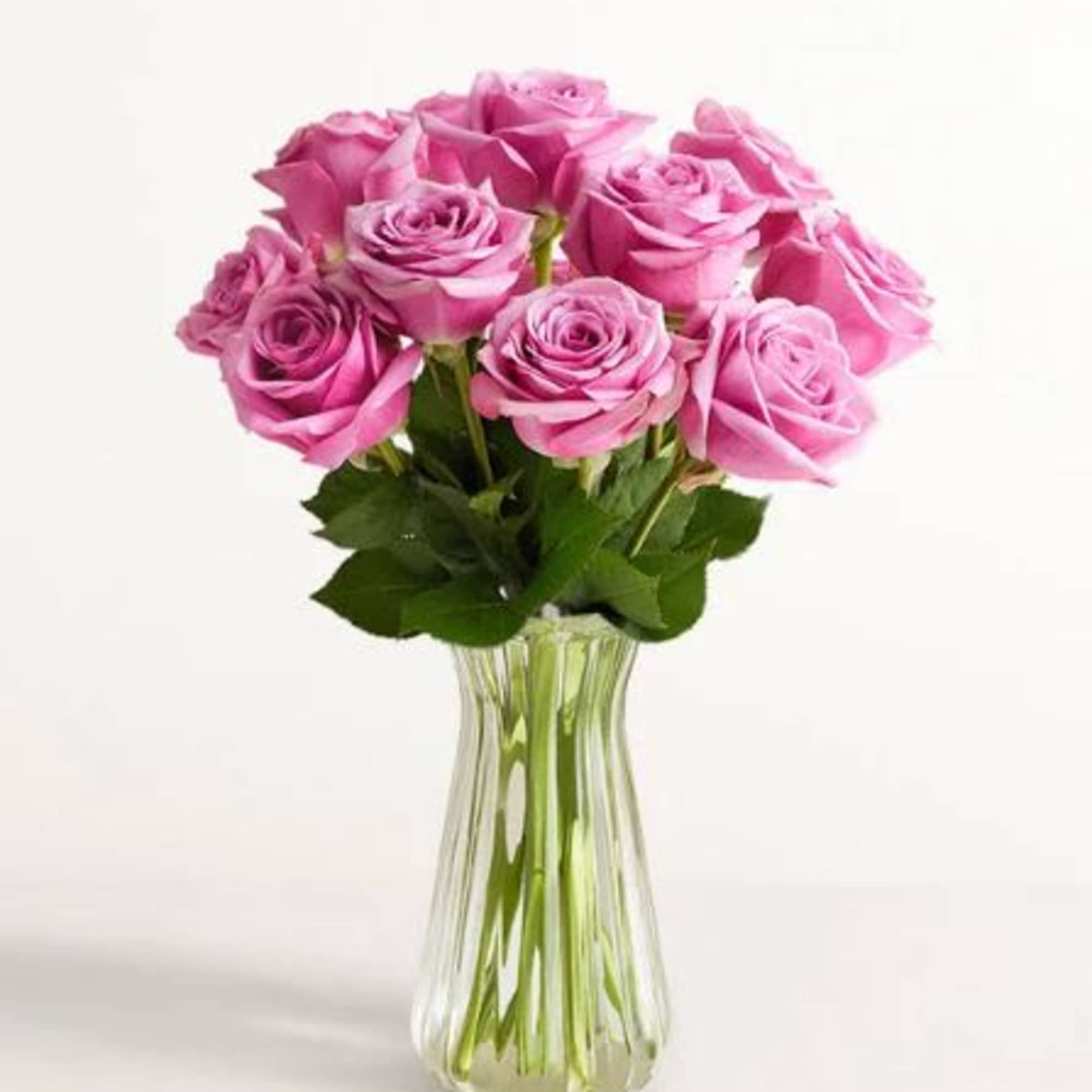  Pet Friendly?
YES. While roses themselves are non-toxic to household pets, the