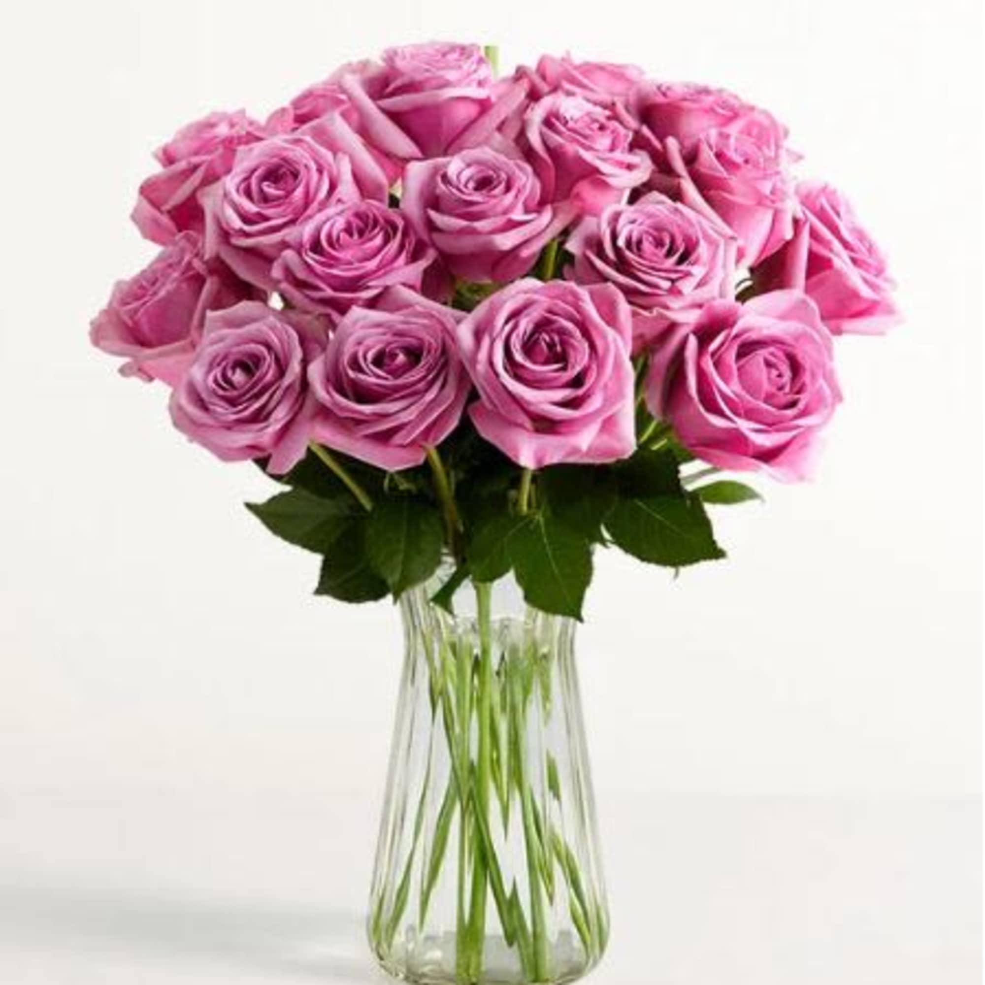  Pet Friendly?
YES. While roses themselves are non-toxic to household pets, the
