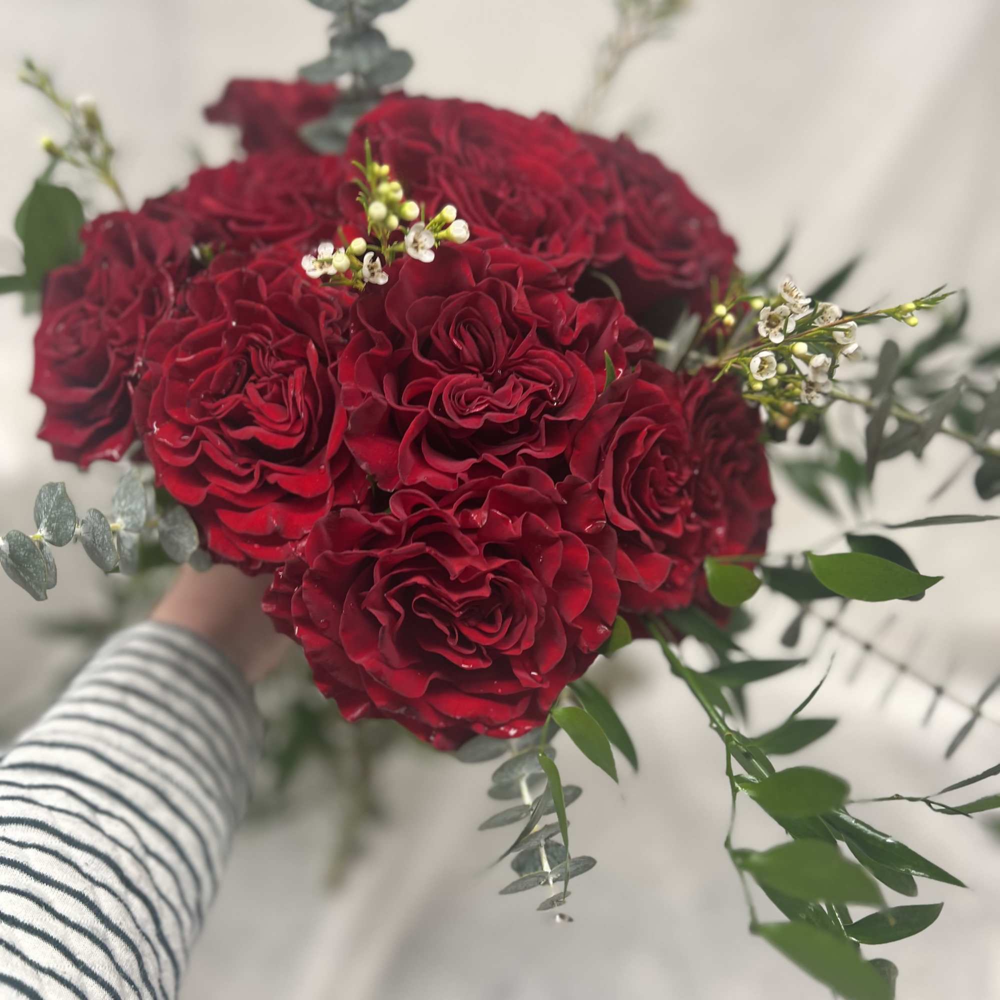 Bouquet of deep red roses with small white filler flowers