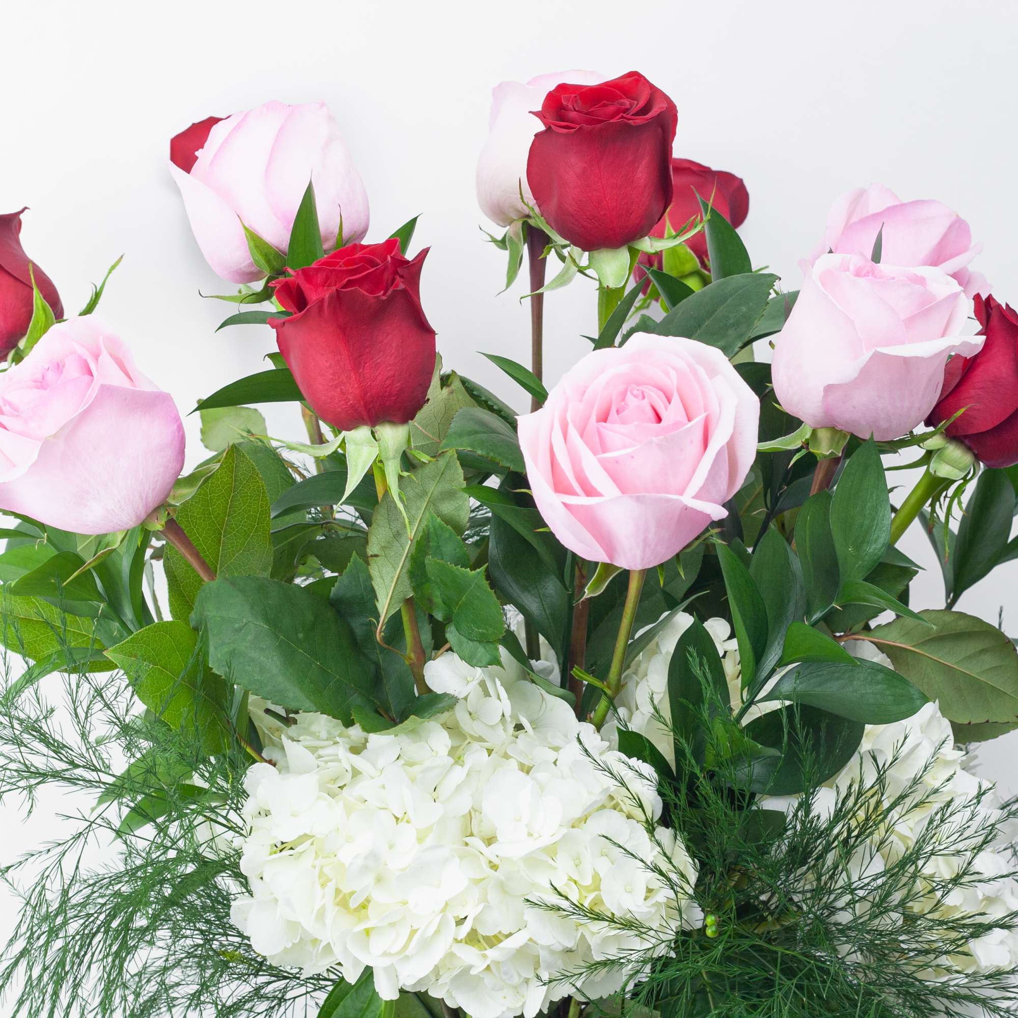 Bouquet of red and pink roses with white hydrangea
