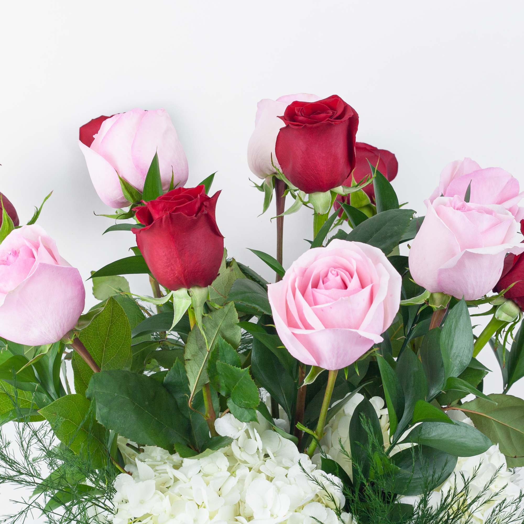 Bouquet of red and pink roses with white hydrangea