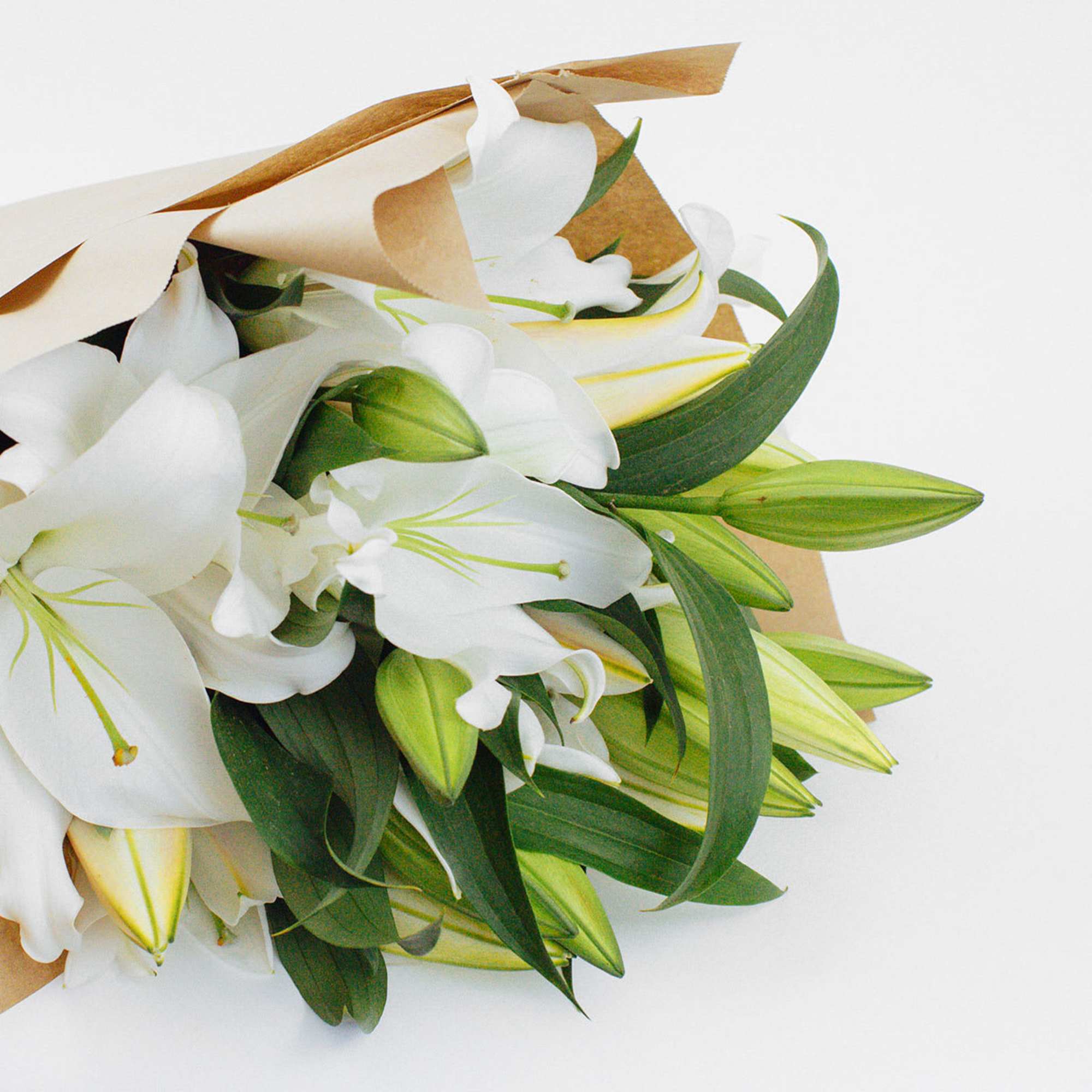WHITE CASABLANCA LILY BOUQUET

Simple and elegant. A beautifully elegant bouquet of fragrant