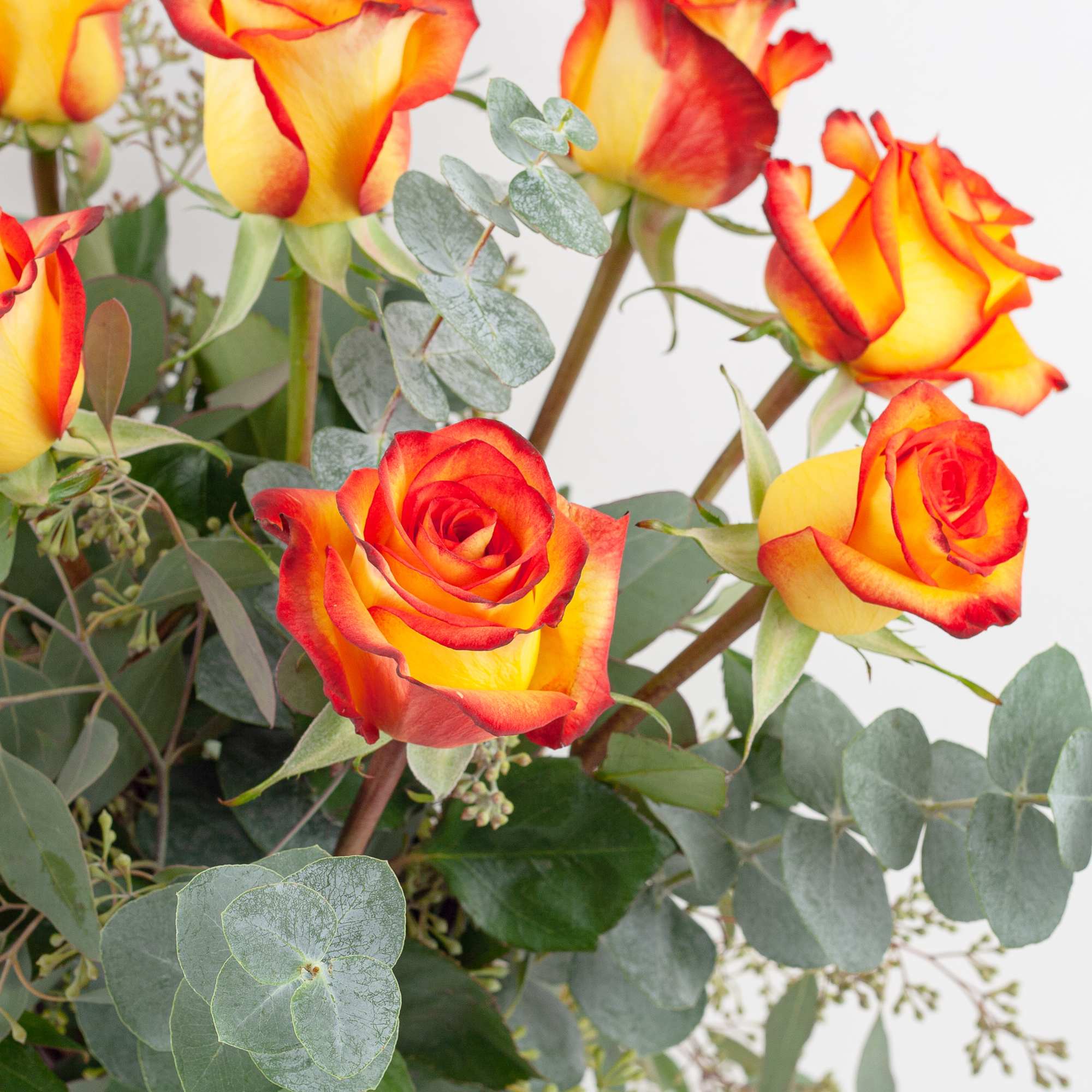 Bouquet of yellow and red roses with eucalyptus foliage