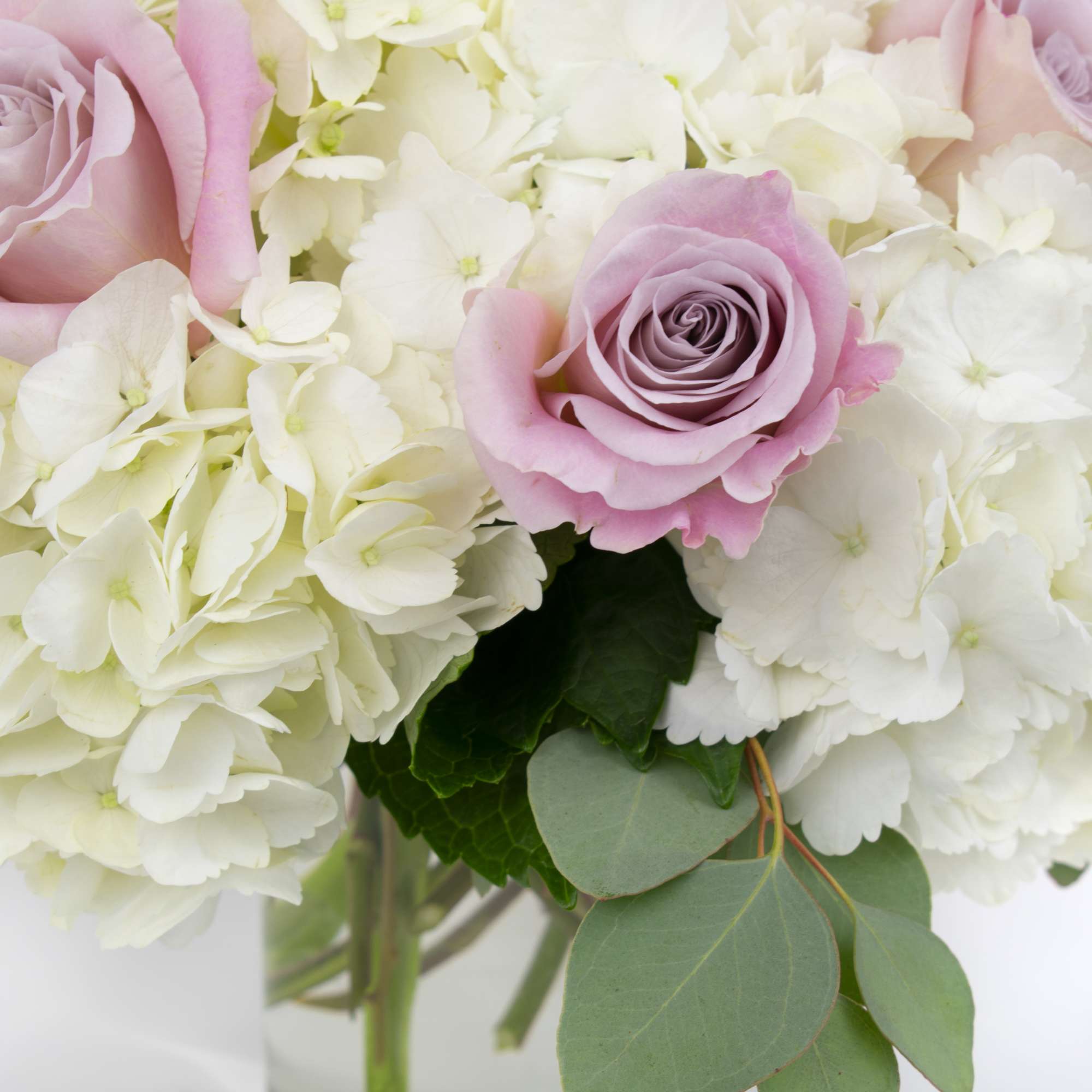 Pink roses in a white hydrangea bouquet