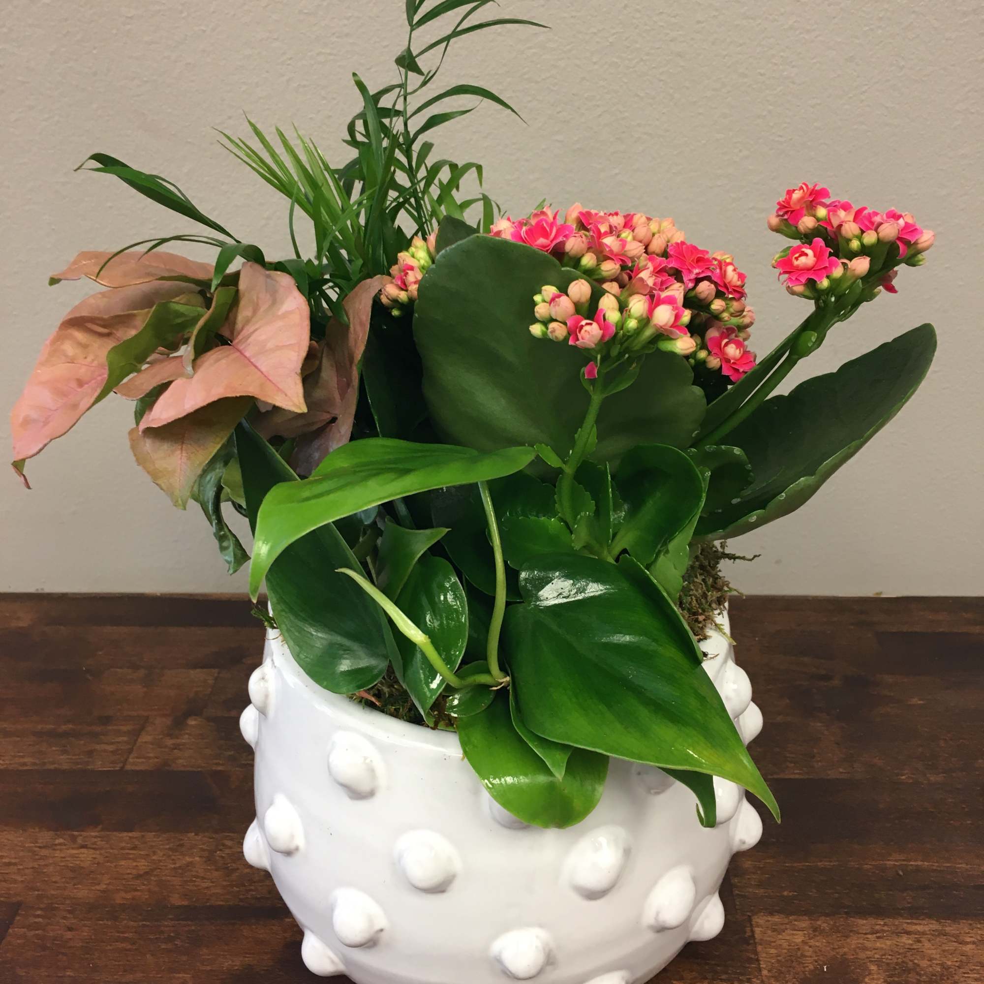 Pink flowering plant in a white textured pot with broad green leaves