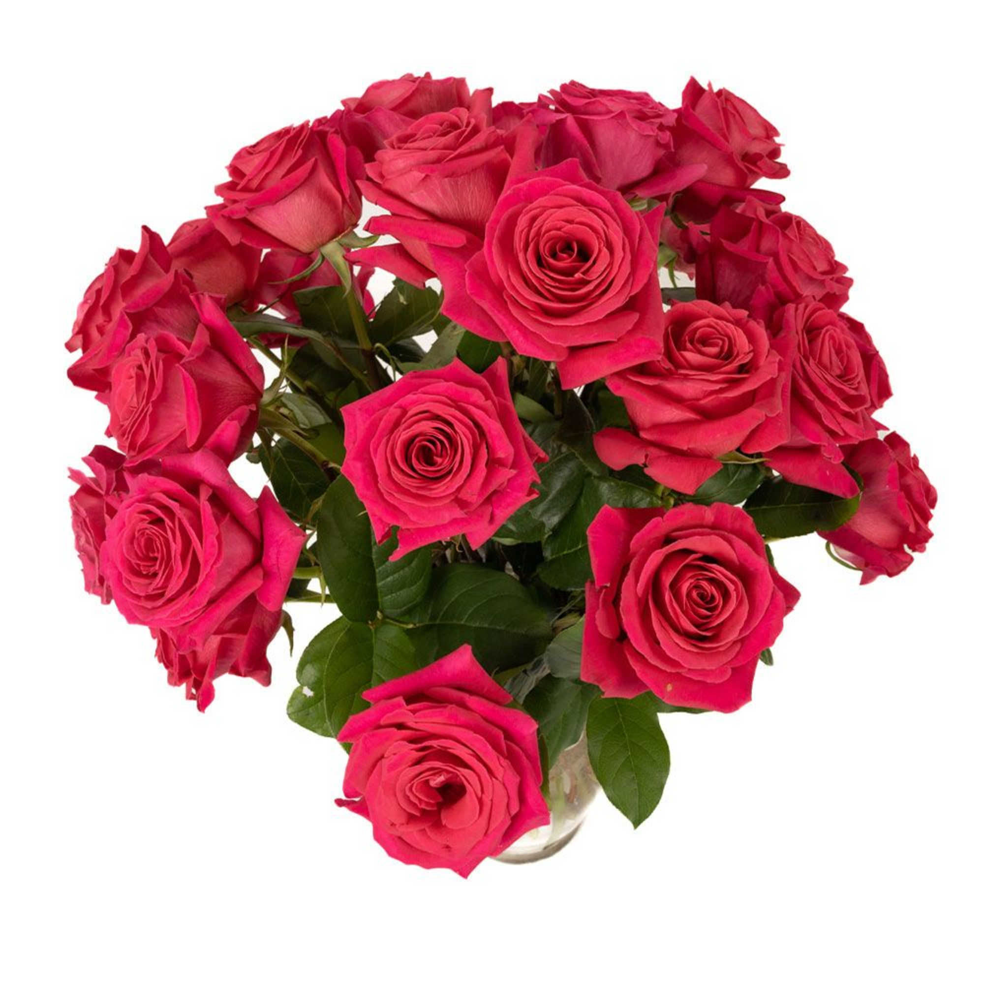 Bouquet of bright pink roses arranged in a clear glass vase