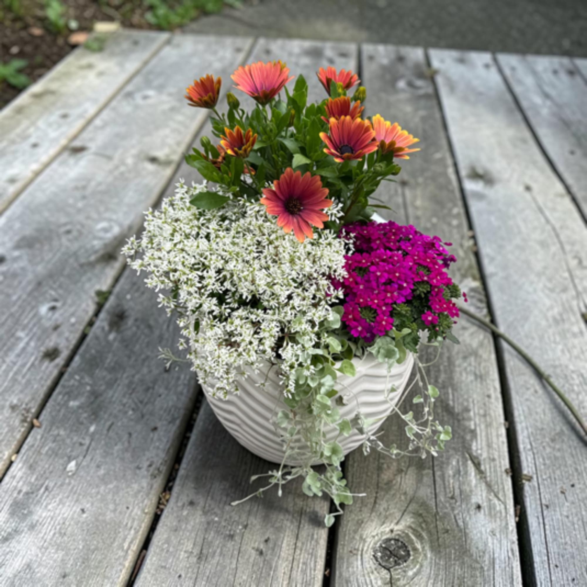 Bright hot-pink chrysanthemums and jewel-toned purple calla lilies create an immediate sunny