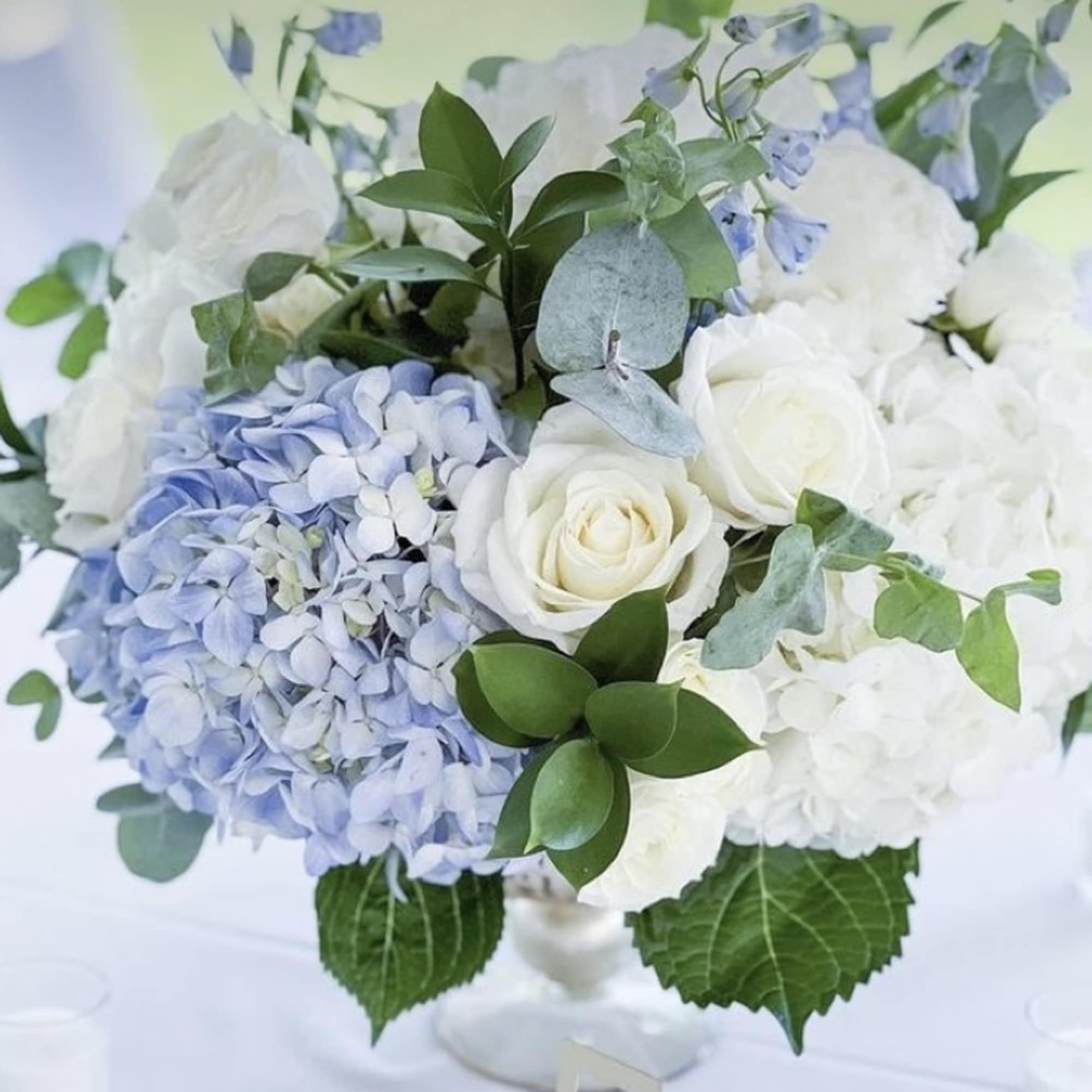 White roses and blue hydrangeas in a low bouquet with greenery