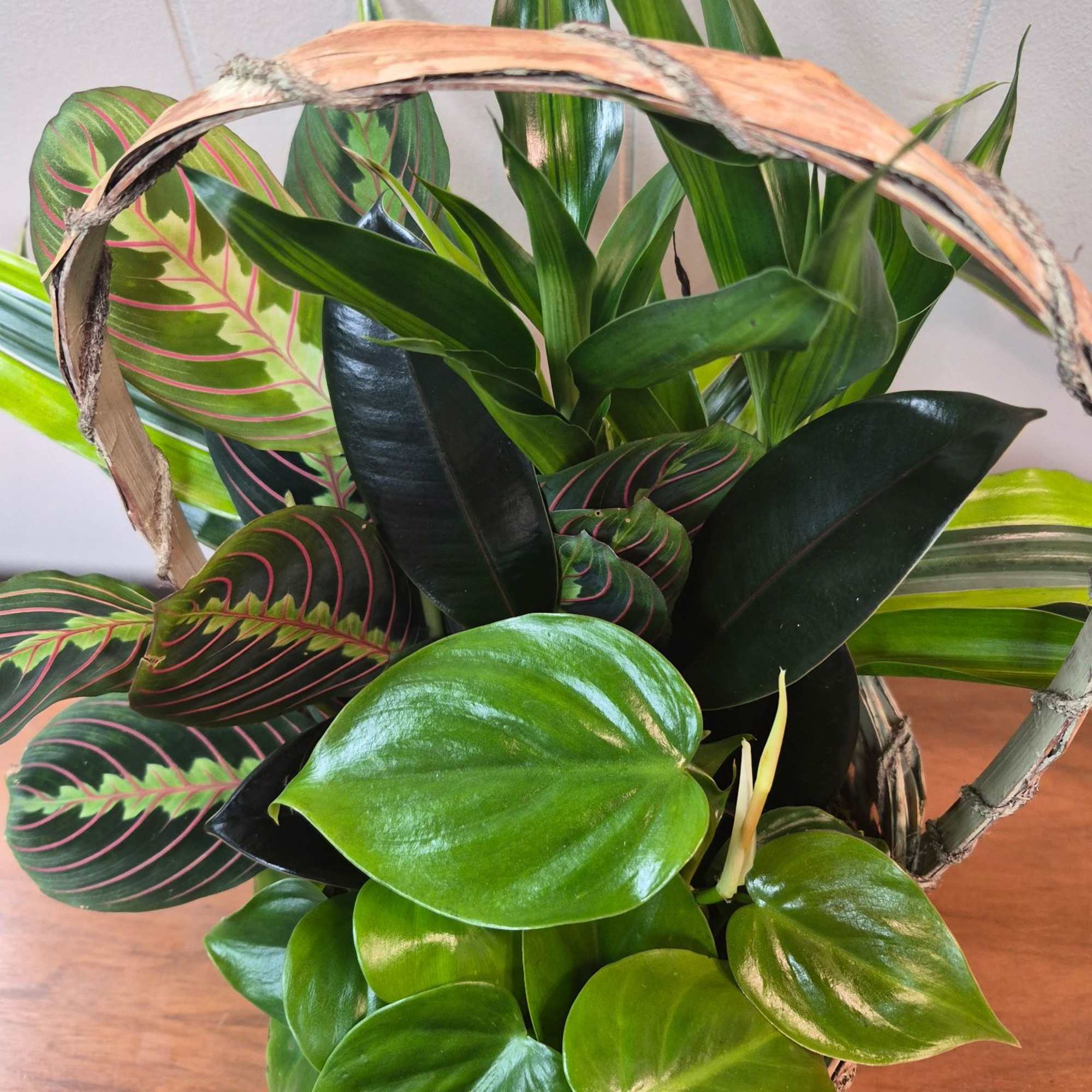 Charming 8" Woven basket with assorted plants 