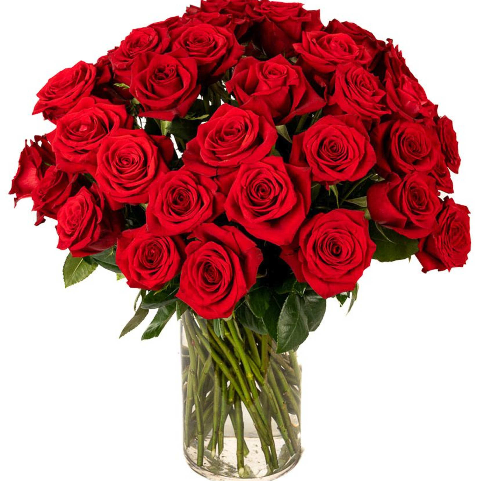 Large arrangement of long-stem red roses in a clear glass cylinder vase