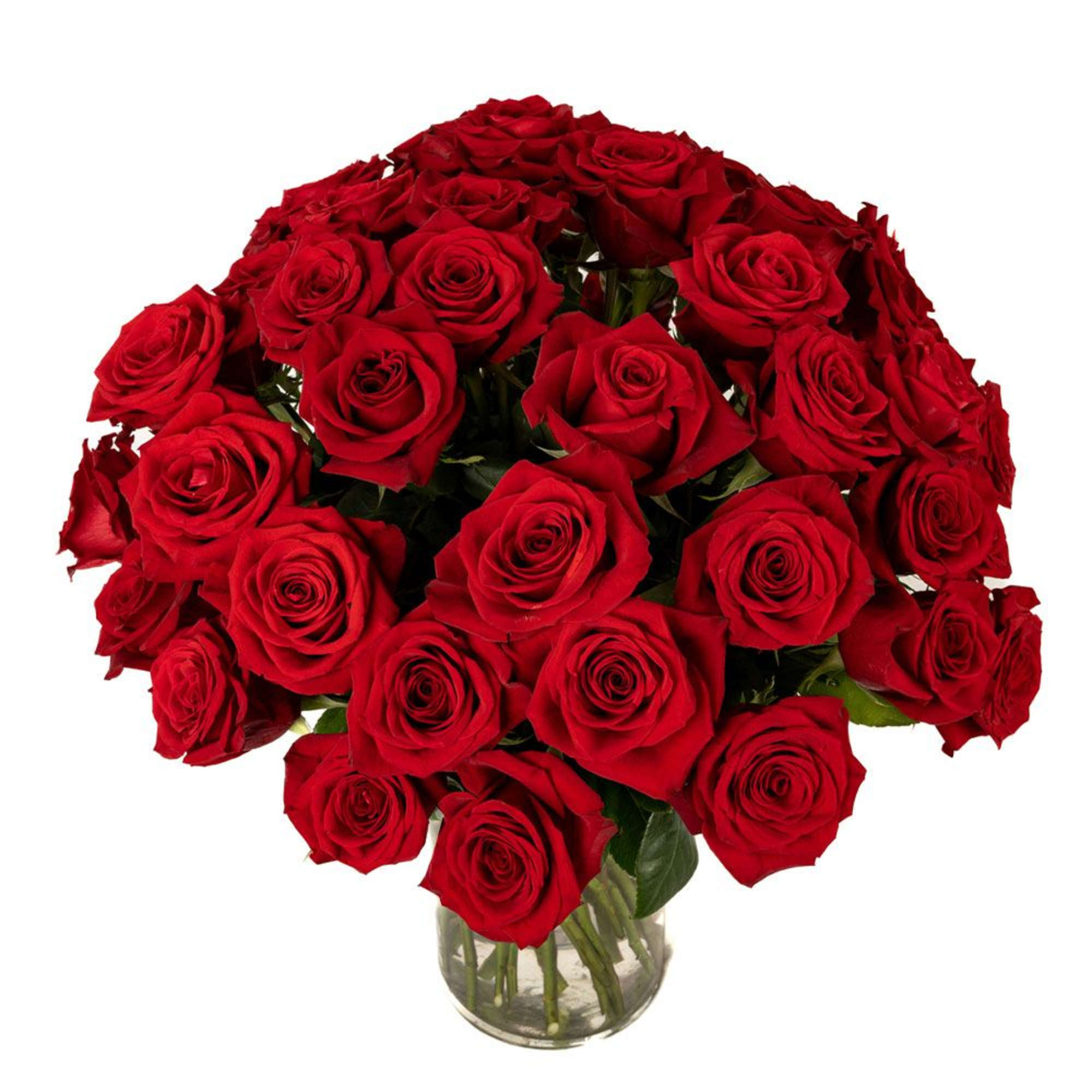 Large bouquet of red roses arranged densely in a clear glass vase