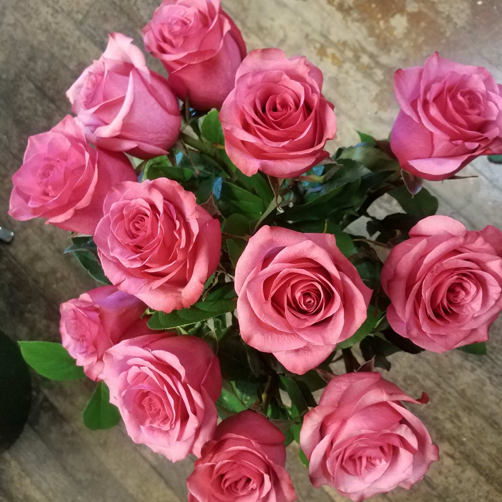Bouquet of pink roses with green foliage