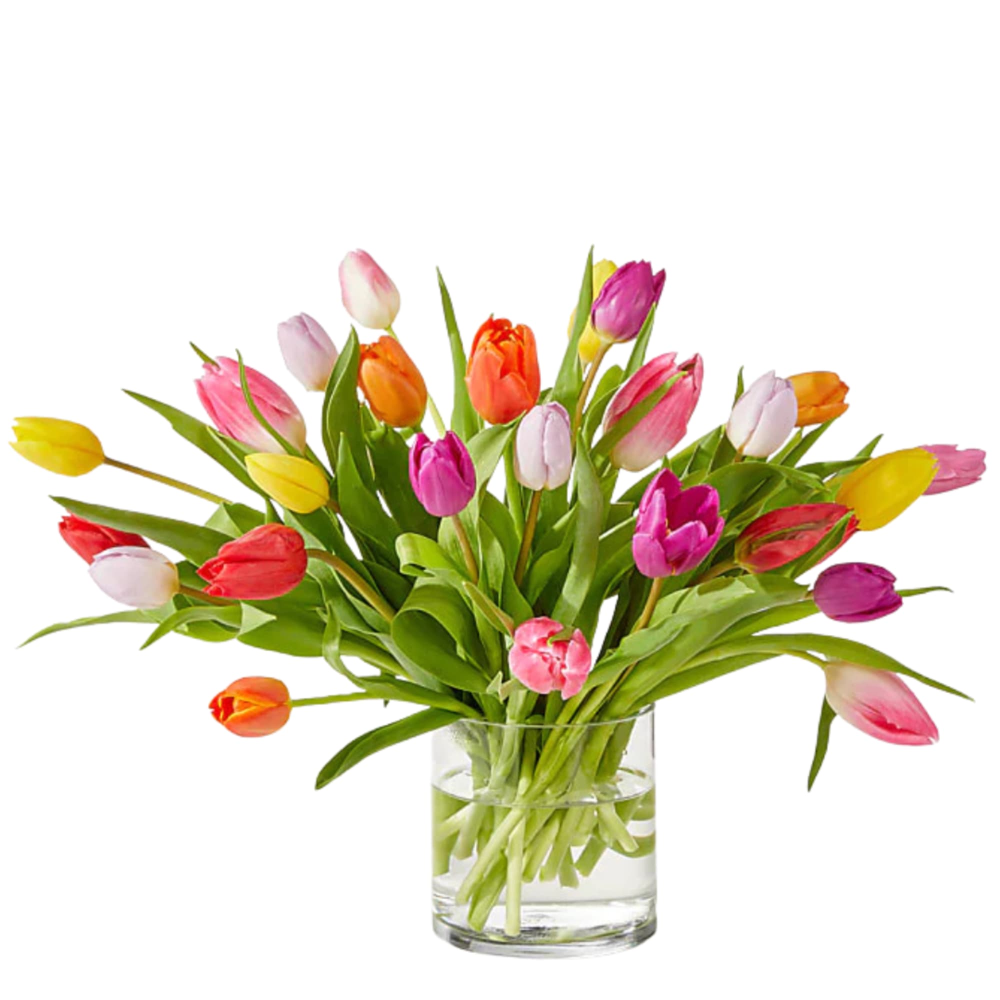 The stem of the season, these assorted tulips are a colorful way