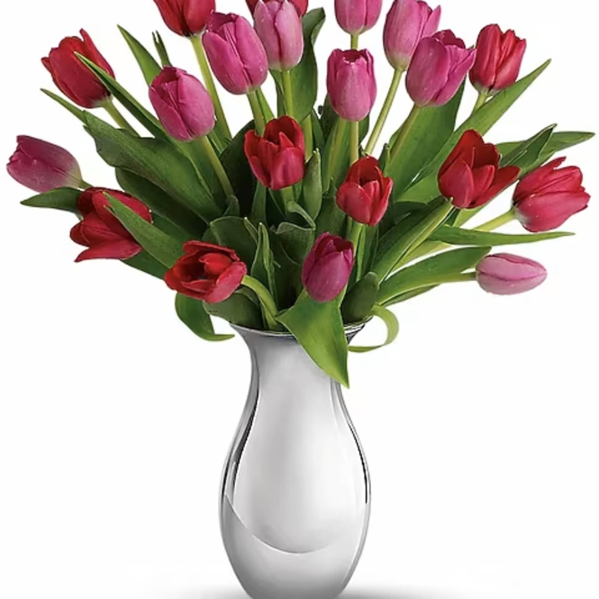 Surrender to the elegant, natural beauty of tulips. Over a dozen red