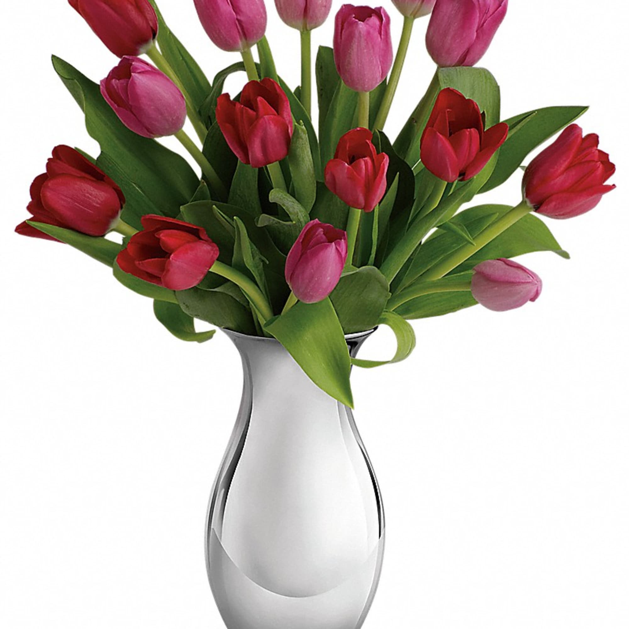 Red and pink tulips arranged in a sleek silver metal vase