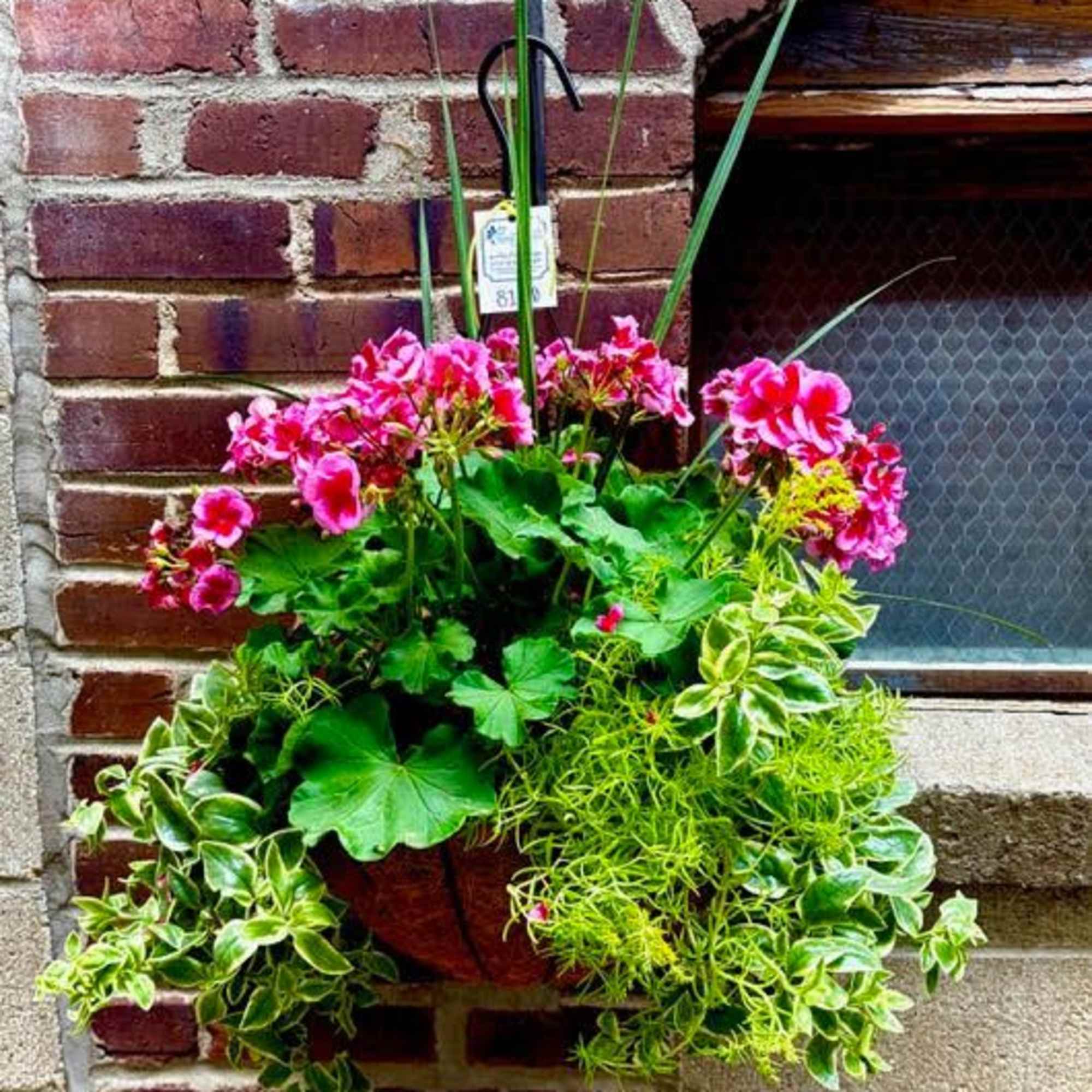 A stunning display of orange or yellow begonias in a cone shape