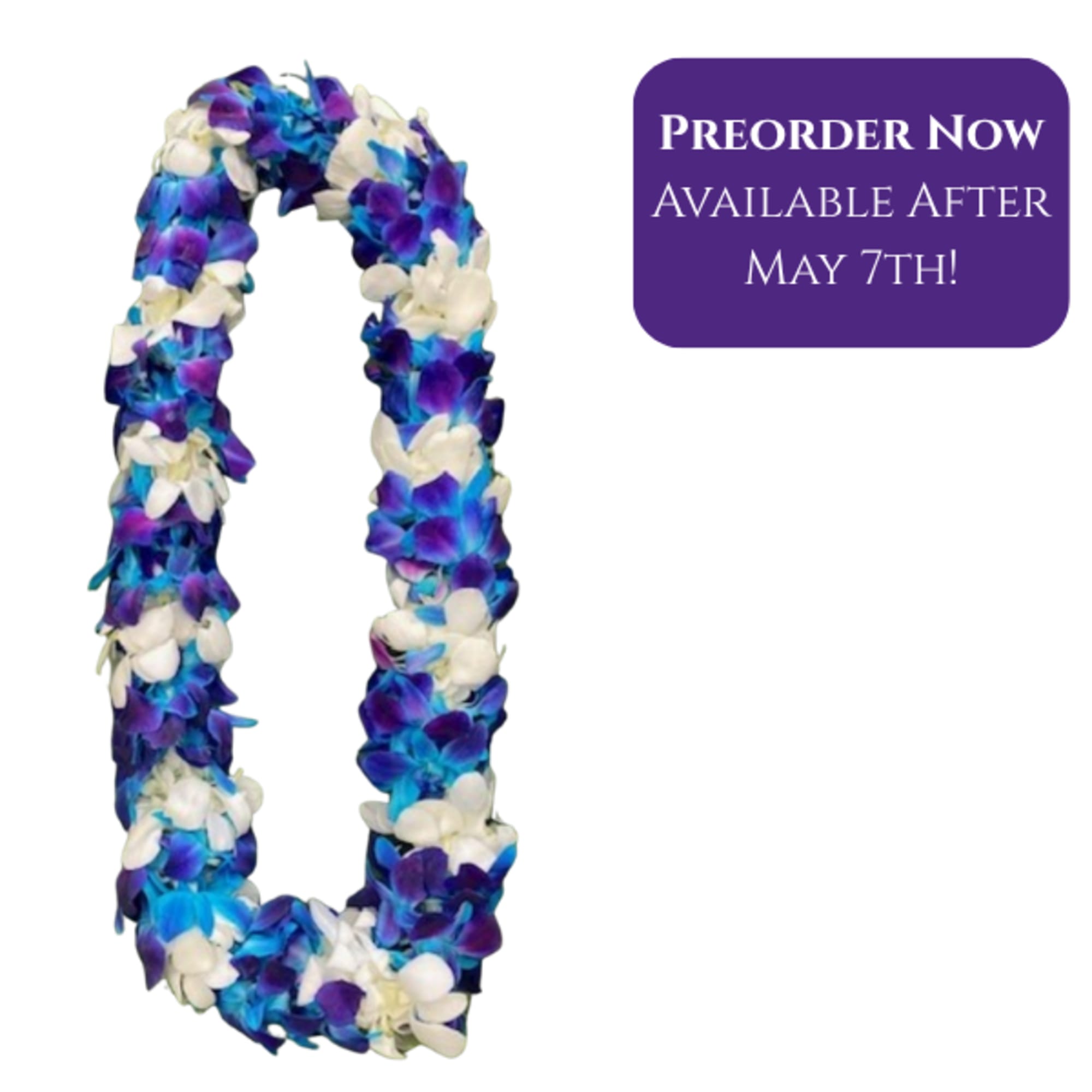 Select this beautiful double dyed blue &amp; white orchid lei for your