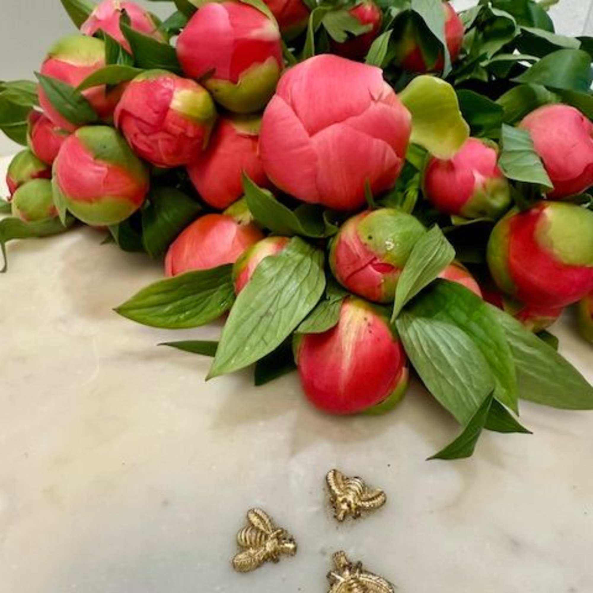 Bundle of pink peony buds with green leaves on a marble surface