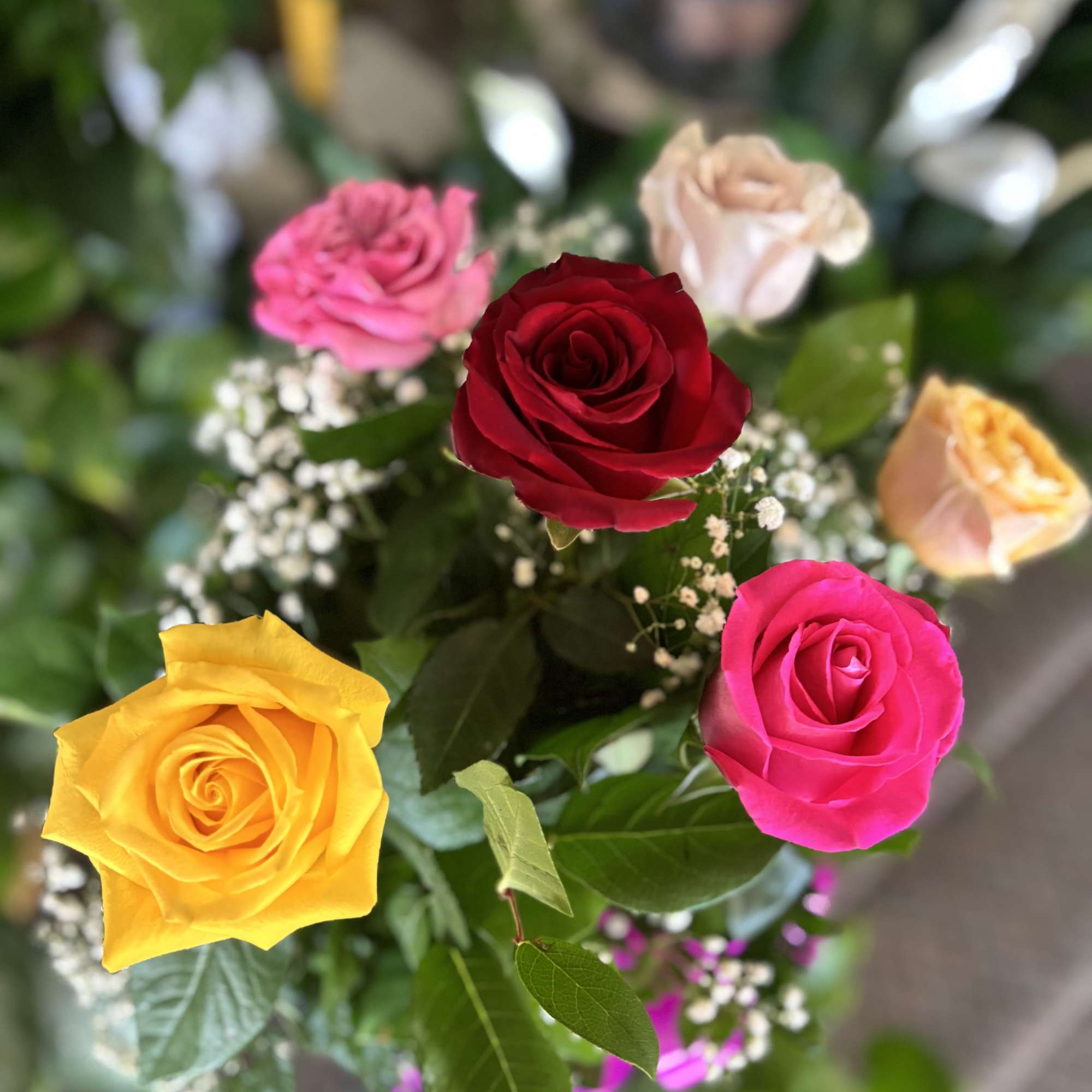 Bouquet of multicolored roses with baby's breath