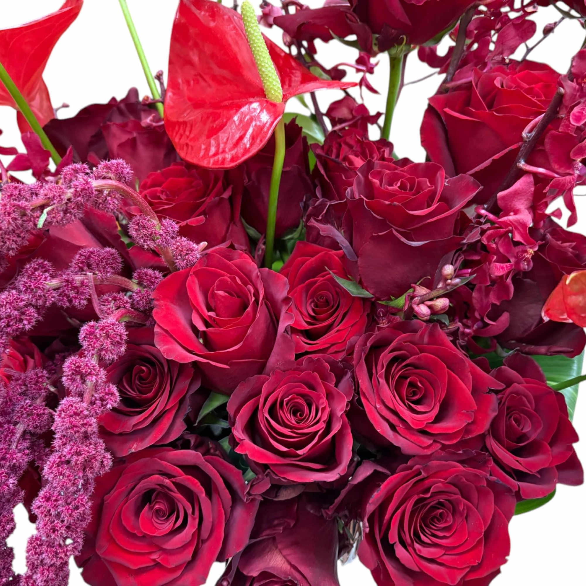 Bouquet of deep red roses with red anthuriums and magenta filler flowers