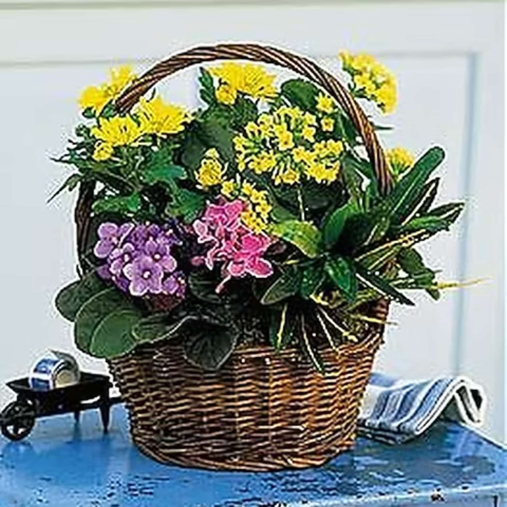 Blooming plants and fresh greens in a well crafted wicker basket are