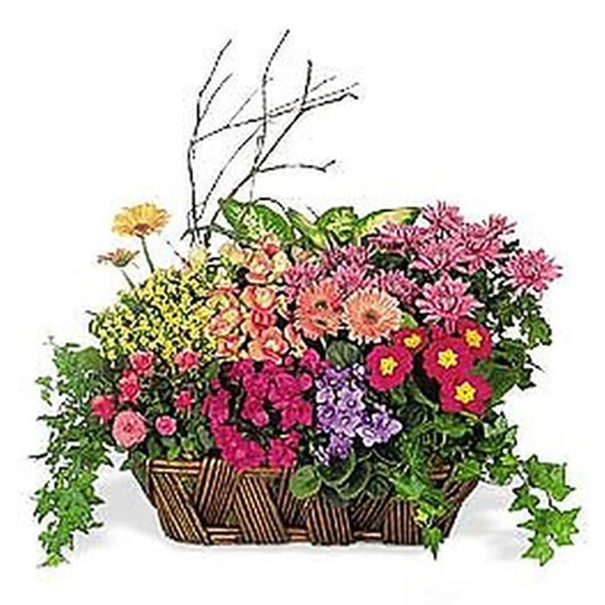 This colorful mix of flowering and green plants makes a deluxe long-lasting